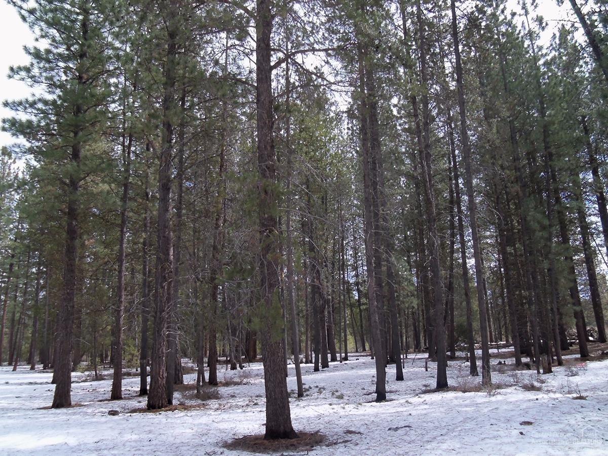 Little River Ranch - Land