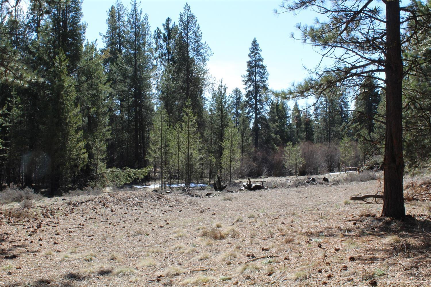 Little River Ranch - Land