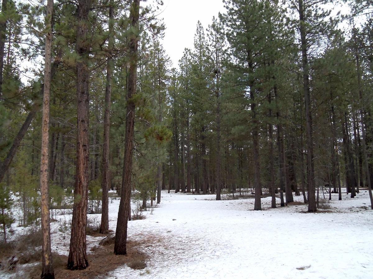 Little River Ranch - Land