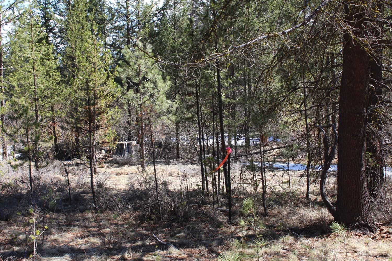 Little River Ranch - Land