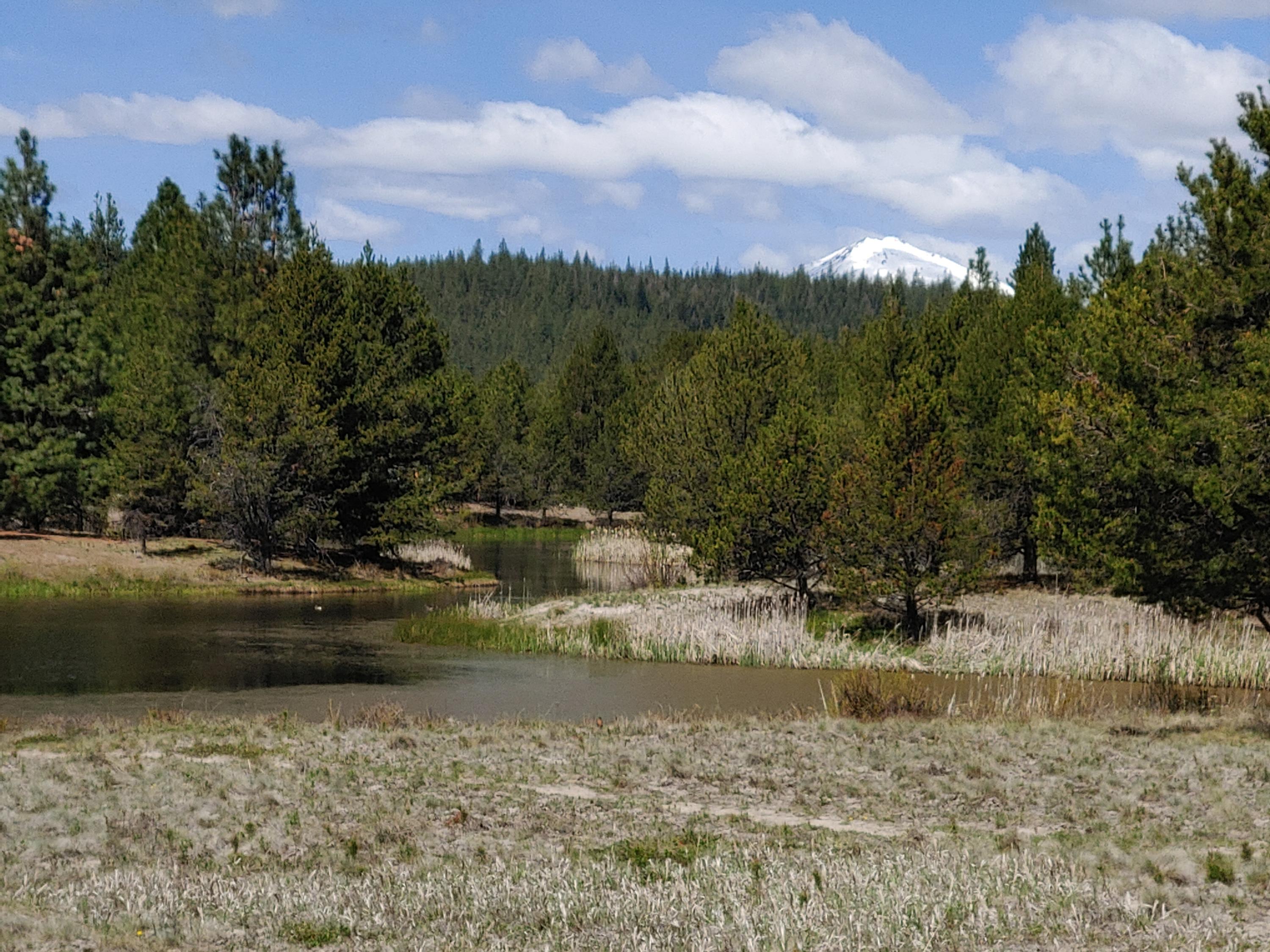 Quelah Condos - Residential