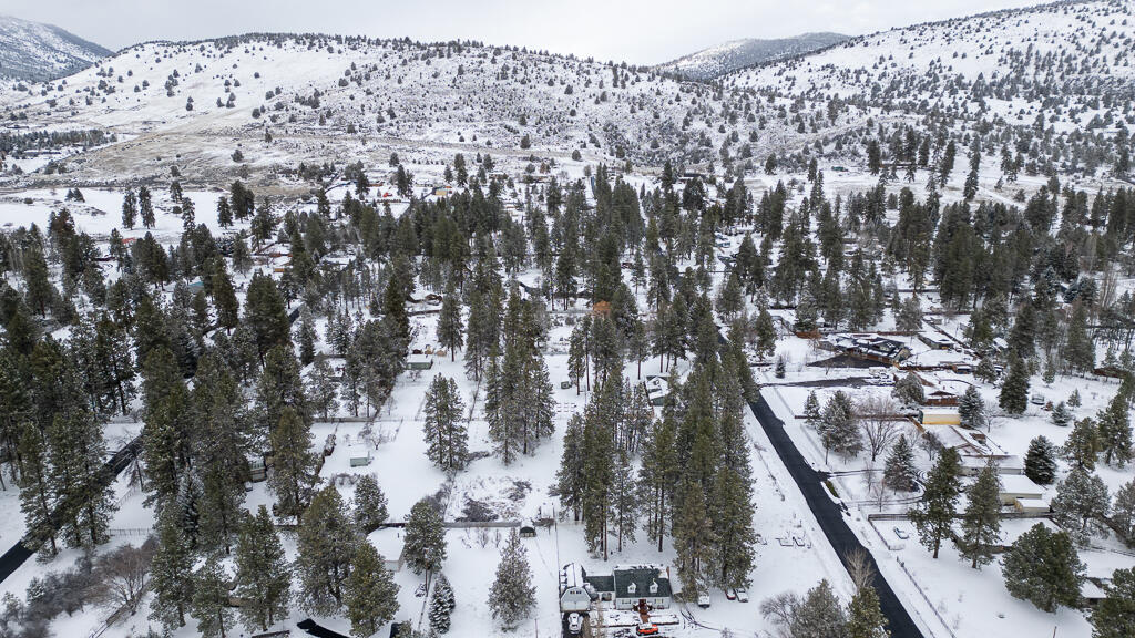 Pine Grove Ponderosa - Land