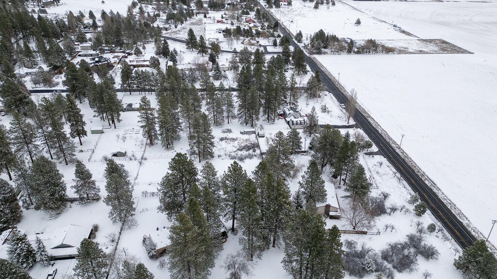 Pine Grove Ponderosa - Land