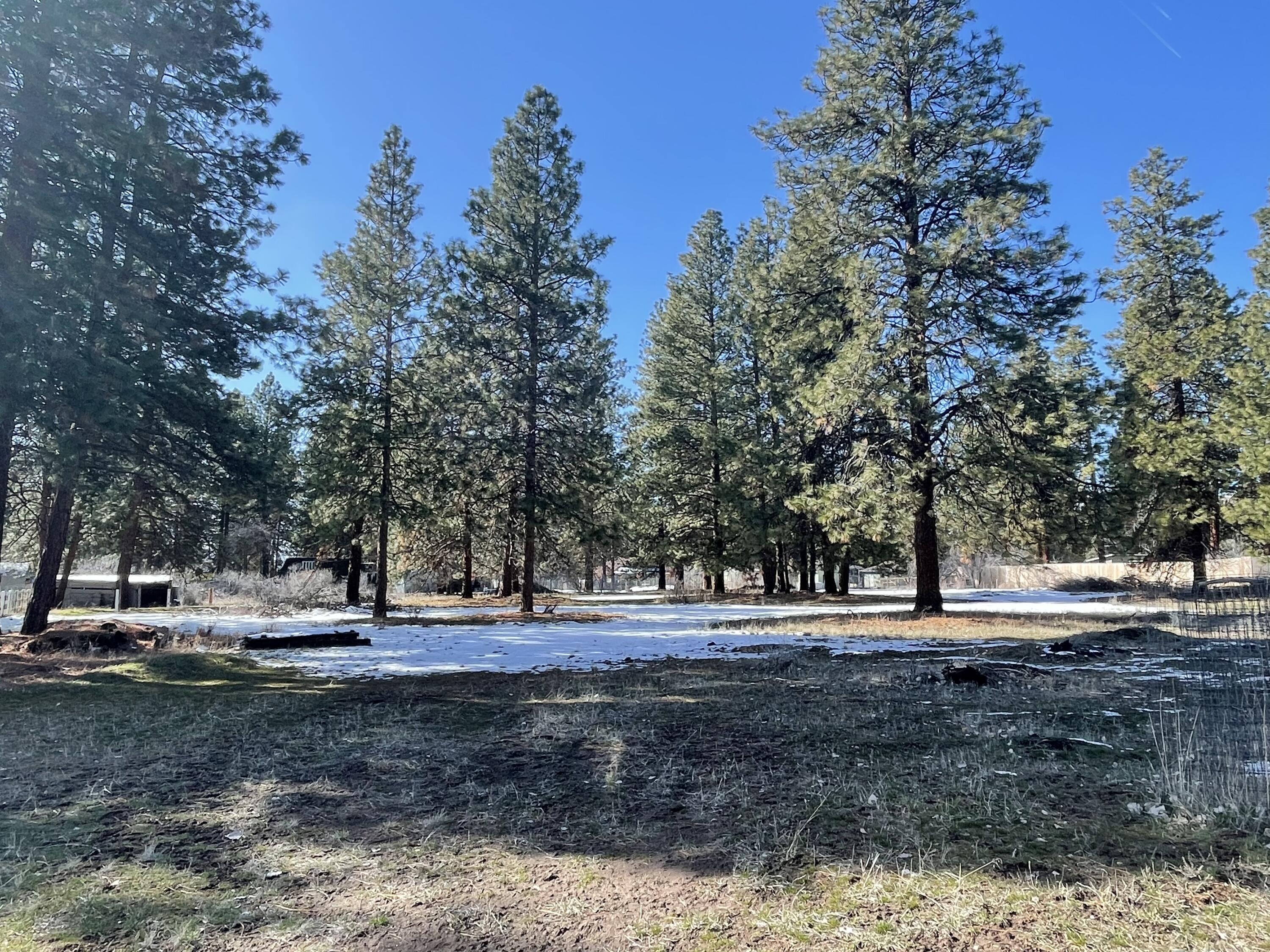 Pine Grove Ponderosa - Land