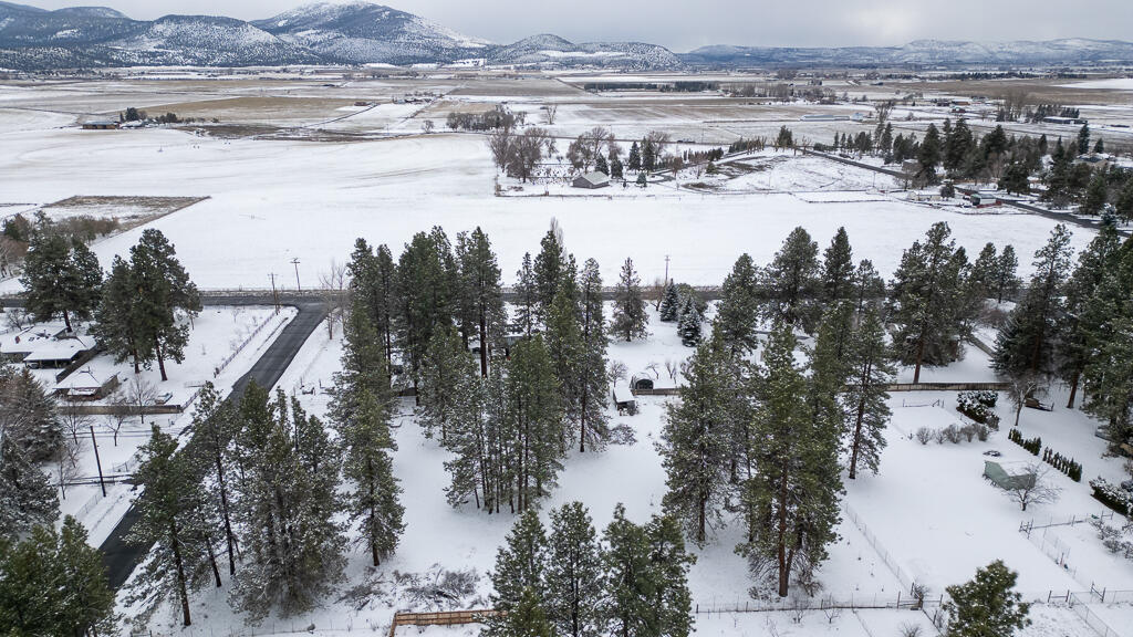 Pine Grove Ponderosa - Land