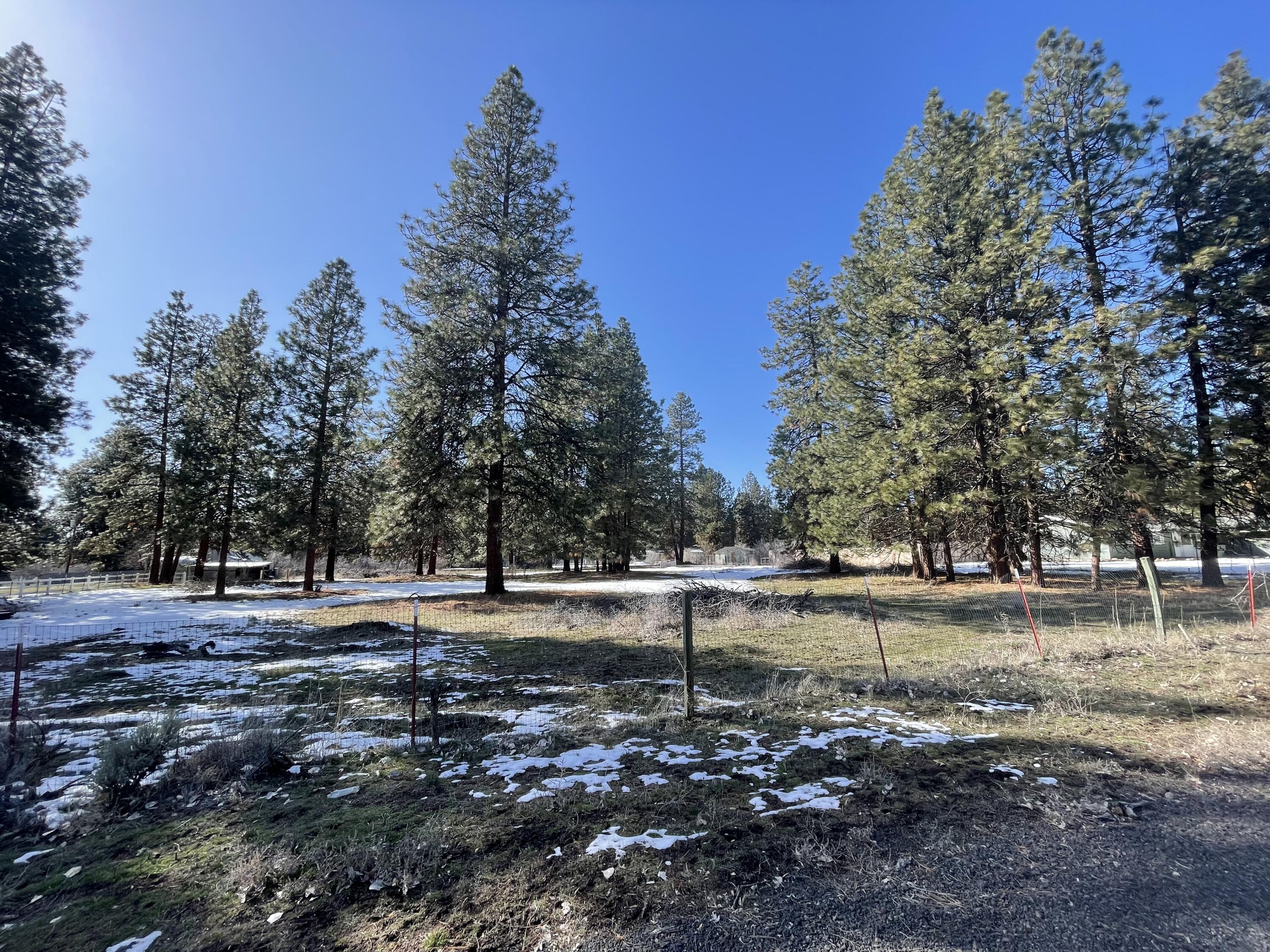 Pine Grove Ponderosa - Land