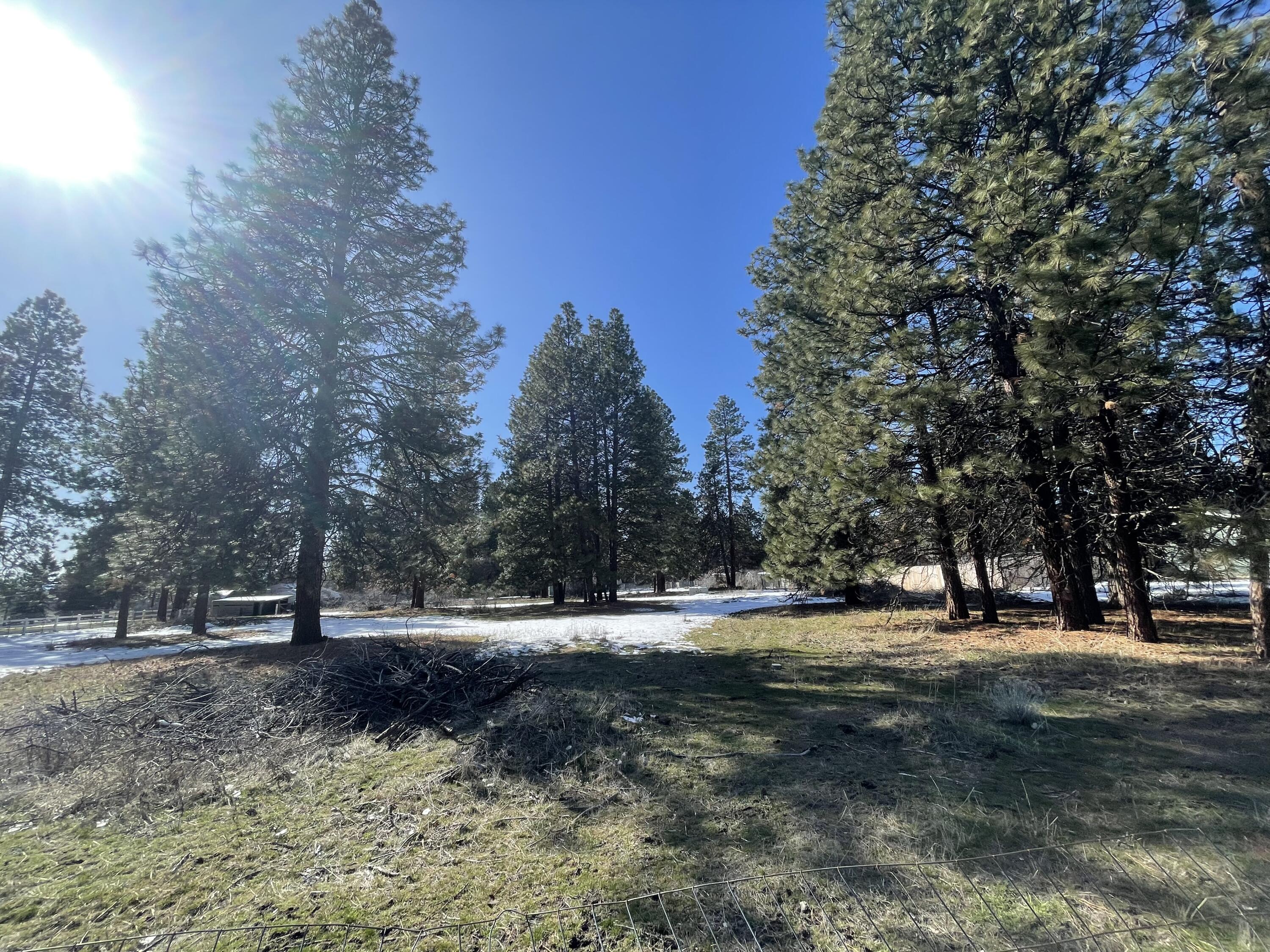 Pine Grove Ponderosa - Land