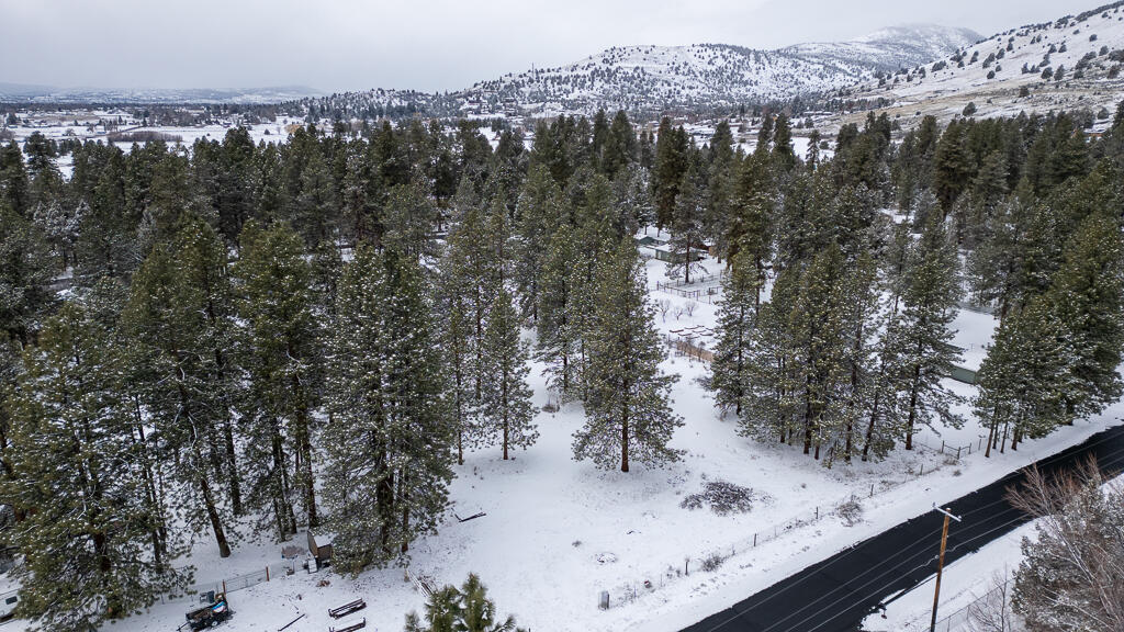 Pine Grove Ponderosa - Land