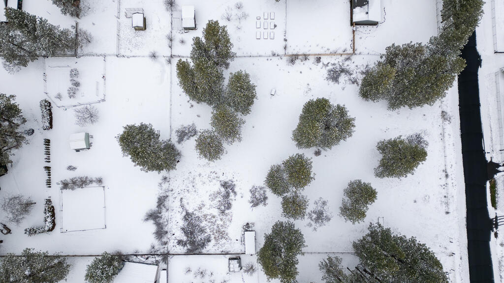 Pine Grove Ponderosa - Land