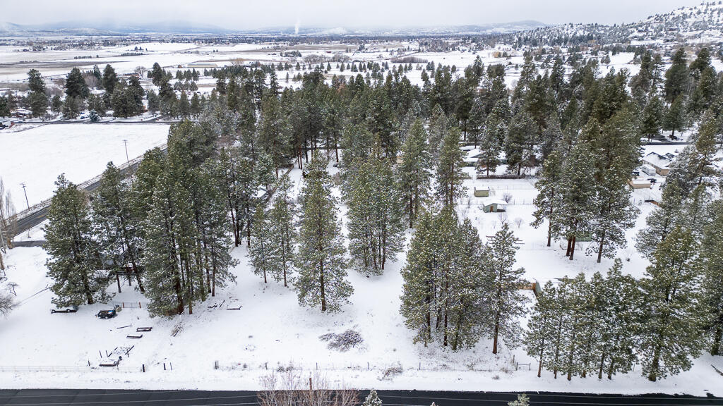 Pine Grove Ponderosa - Land