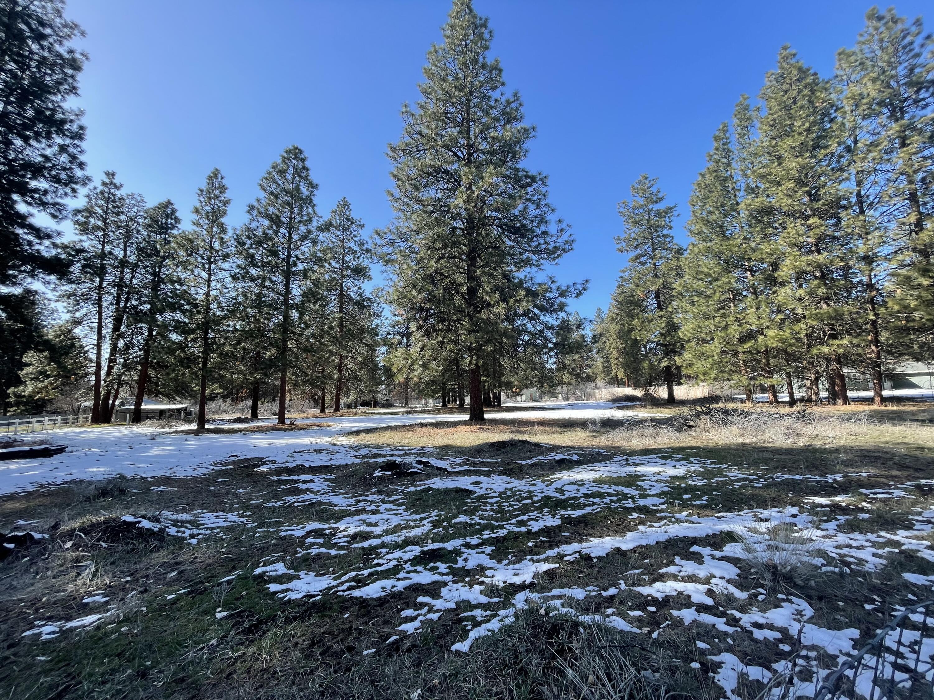 Pine Grove Ponderosa - Land