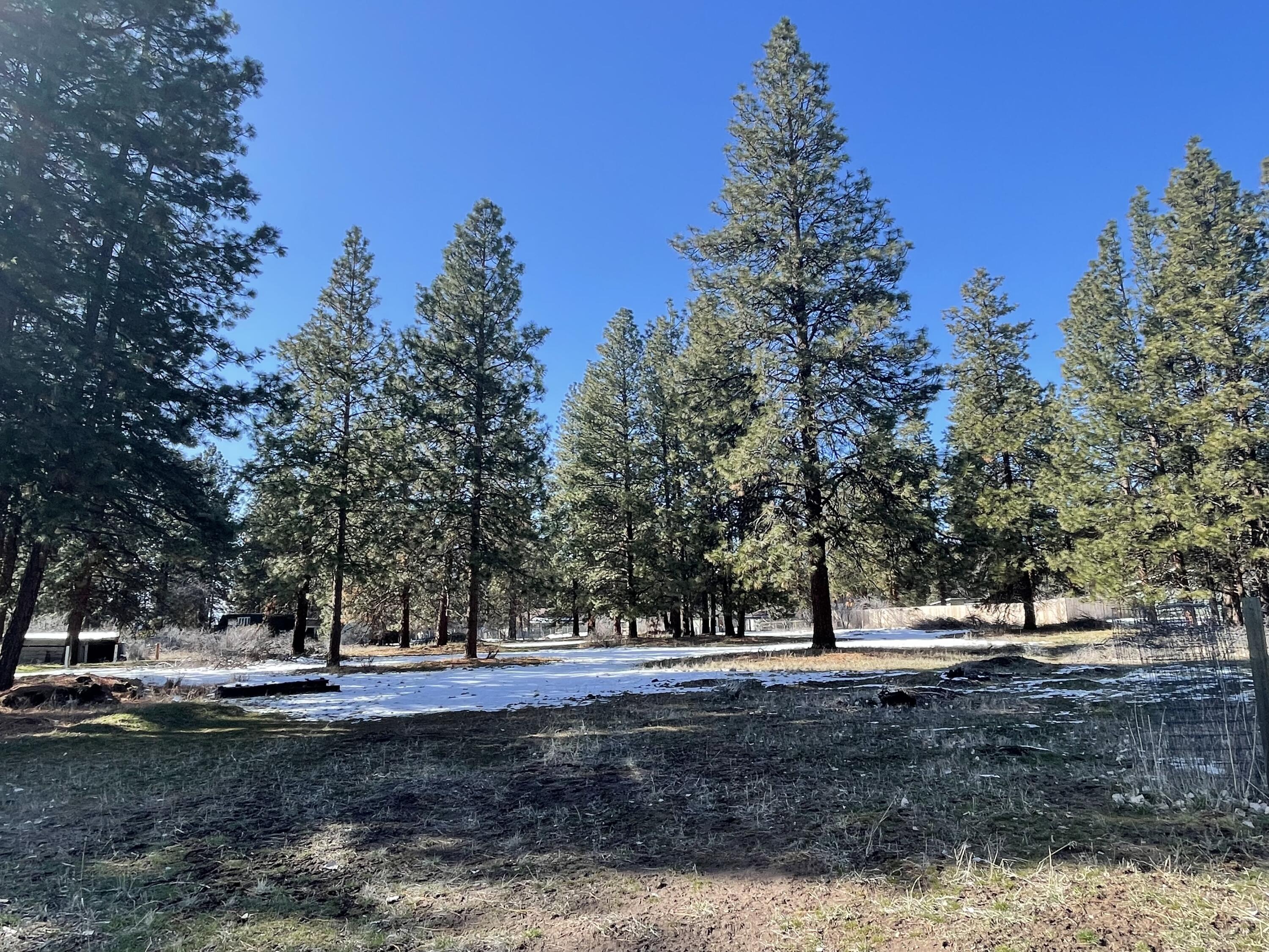 Pine Grove Ponderosa - Land