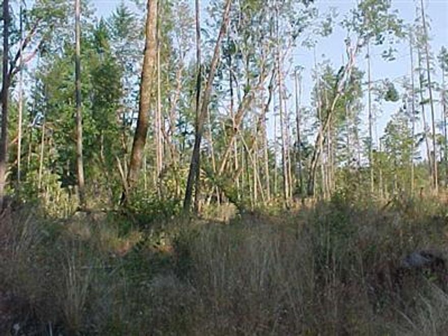 Larger acreage on the E. Fork of the Illinois River. Very close to Cave Junction proper. Partially cleared, due to logging by owner. The approved homesite area is away from other improv. on adjoining parcels. Septic approved (Std) and home site approved, good til 3-5-08 & can be ext. add'l 2 yrs. Copy of findings at l/o soon. A good portion of acreage is in the river bed, flood plain & way, for that part. The bal. approx. l/2 is up on dry land & I think with some selective tree removal could have a so. view/exposure, towards the river.Mill Ck is bndry on East line. BLM along the West line.