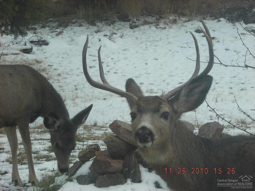 Mill Creek Ranches - Residential