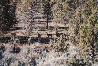 Mill Creek Ranches - Residential