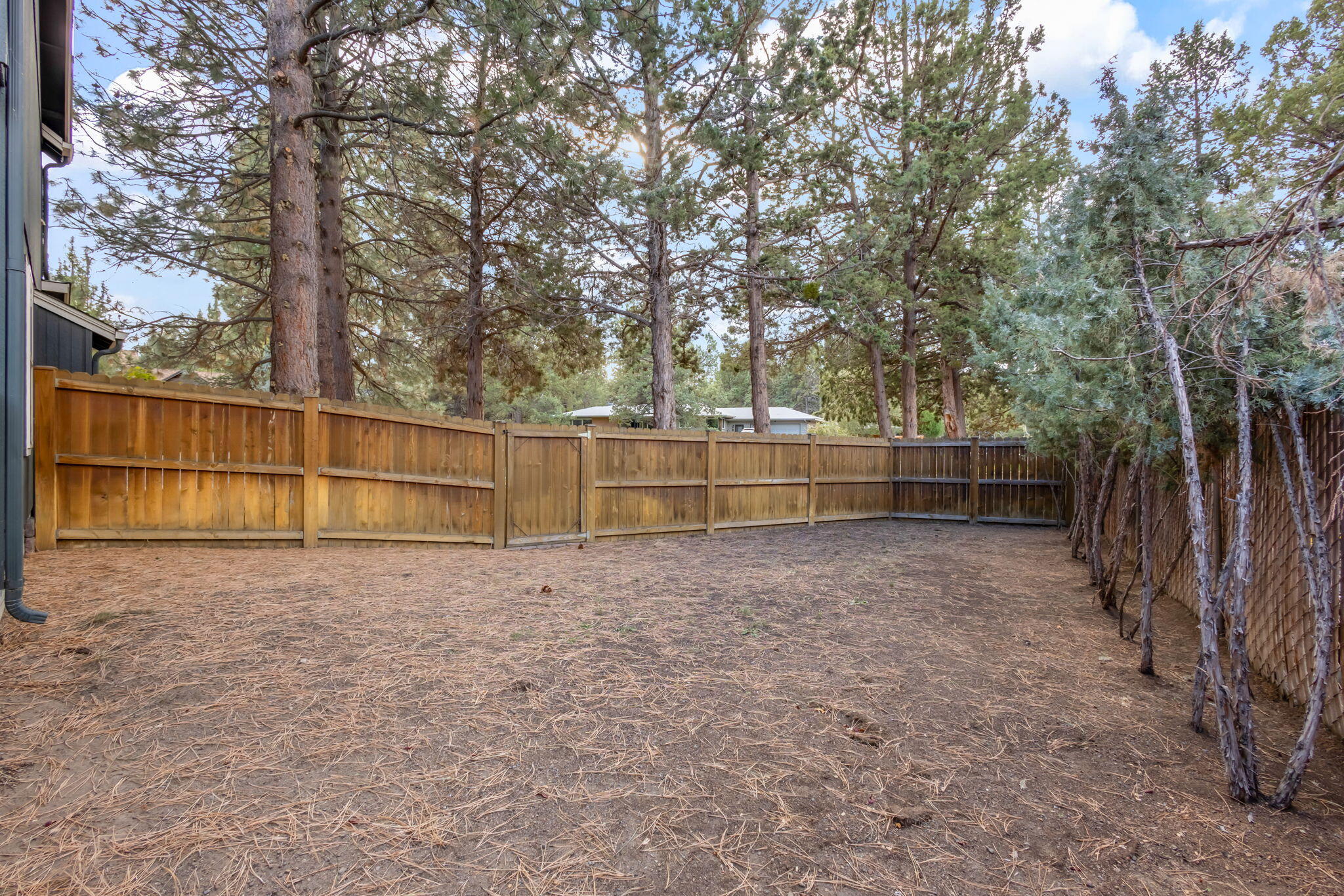 Conifer Estates - Residential