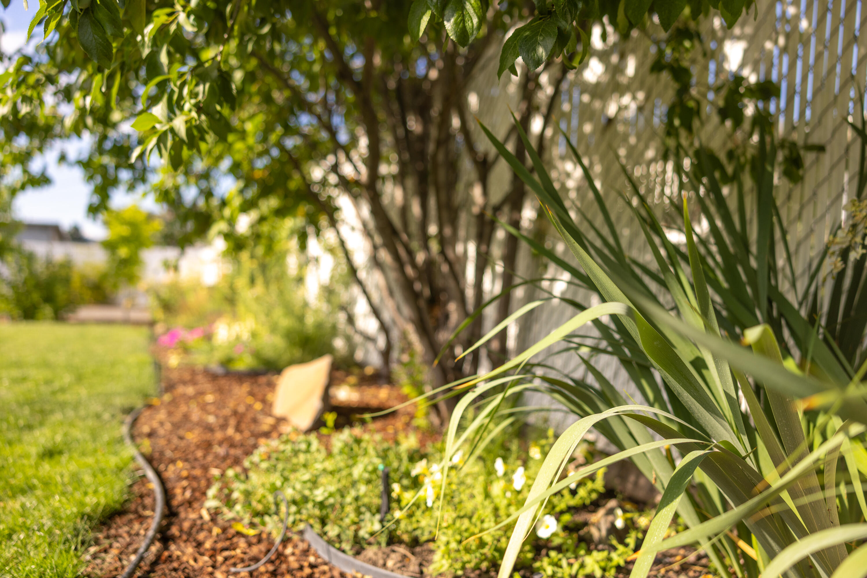 Old Orchard Manor - Residential