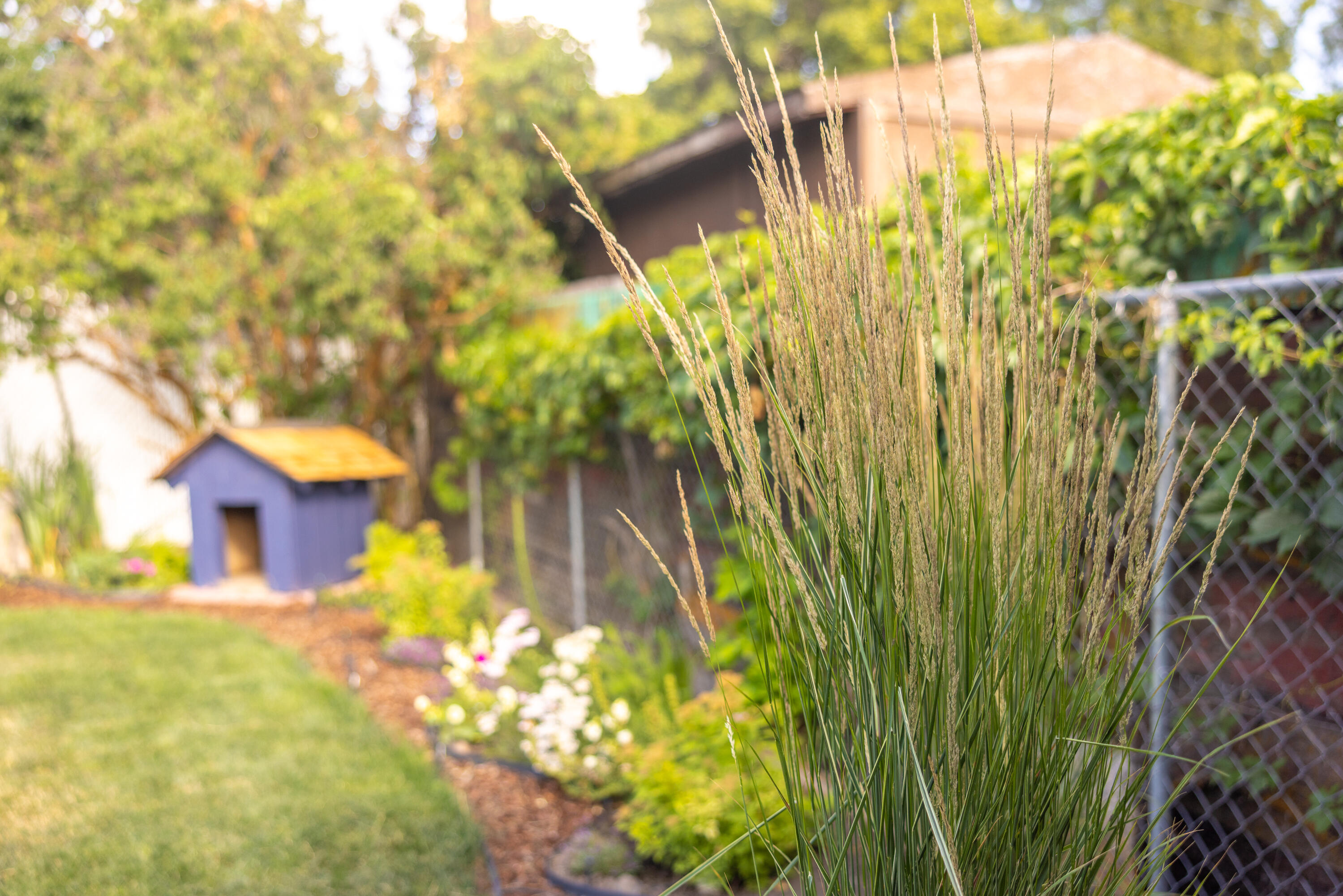 Old Orchard Manor - Residential