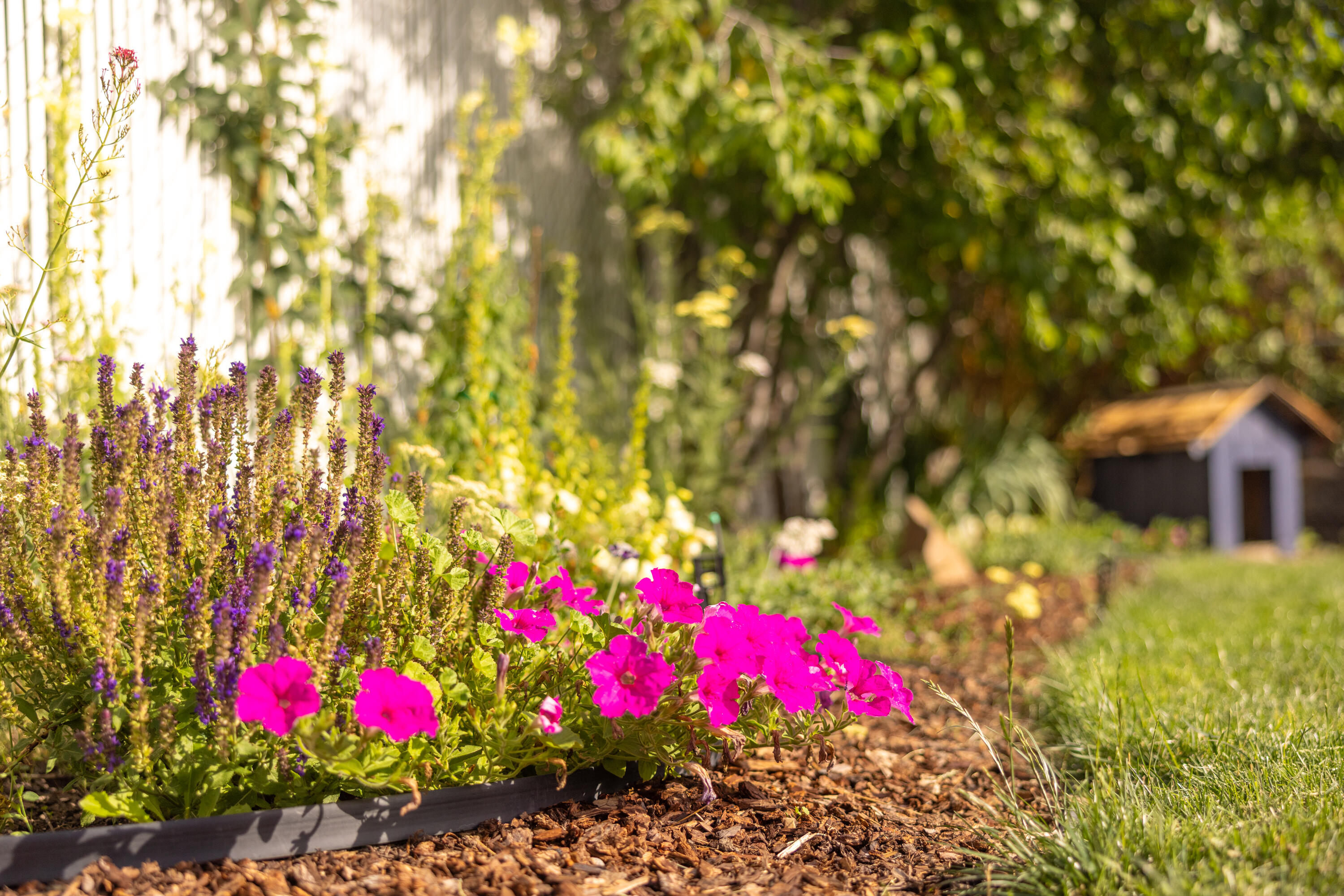 Old Orchard Manor - Residential