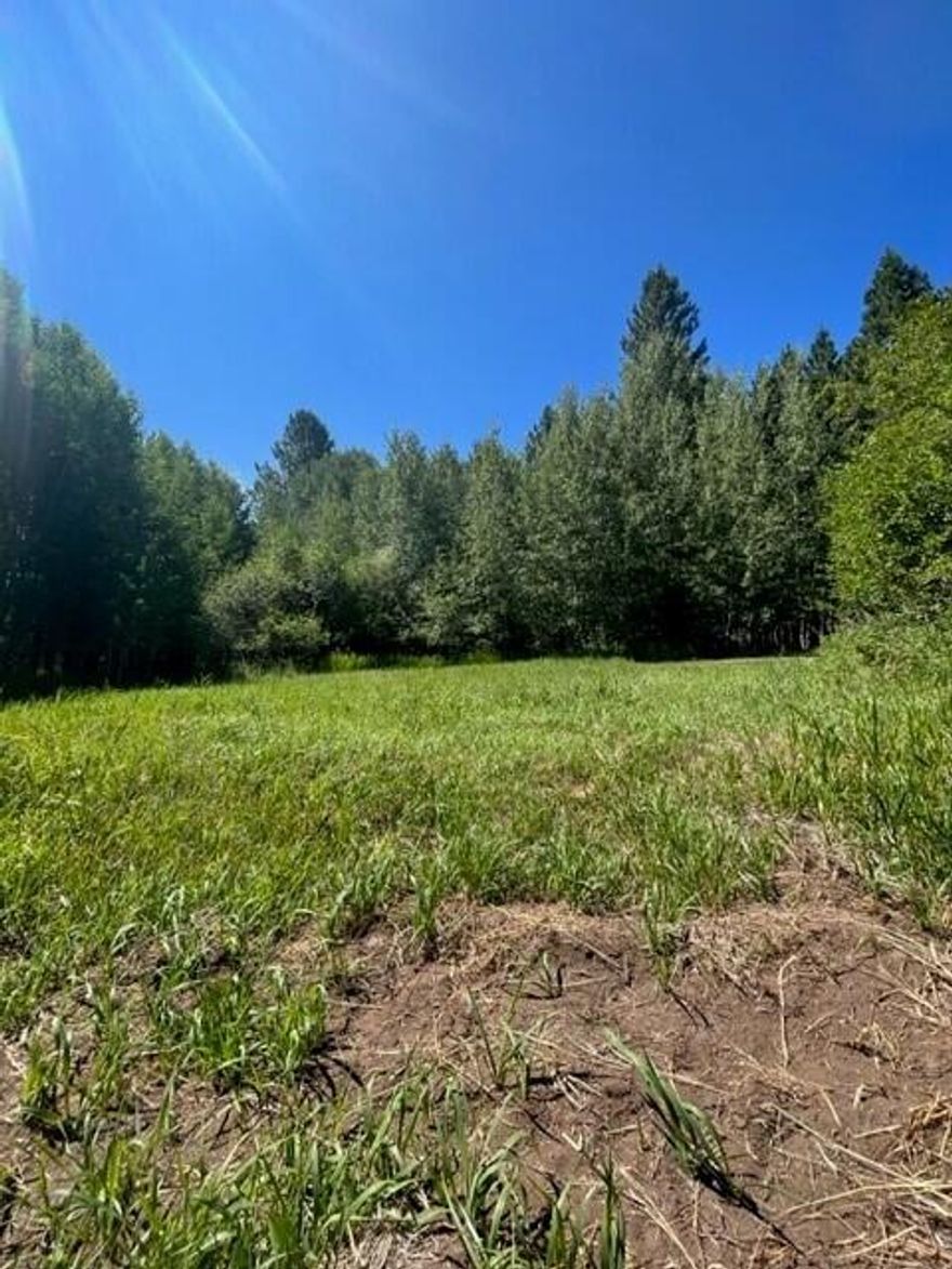 Wanting to fully experience living and building your dream home in the Pacific North West?! Look no further~ This 1.54-acre property is a total combined of 8 lots total giving you plenty of space! Located just off Rocky Point Road (30 minutes from Klamath Falls) and nestled the trees you are close to Crater Lake National Park, Lake Of The Woods Resort, Harriman Springs Resort & Marina, Ziplining, Hiking, Skiing, snowmobiling, boating, swimming, jet skiing, camping....you name it, it's here year round! 
Buyers to do all due diligence regarding building and development to lots. 
$427.60 is the annual tax amount total for all 8 lots. All 8 parcels are being sold together. 312986,312995,31259,313011,313020,313039,313048,31305
It may be a possibility to also purchase MLS # 220162621 altogether.