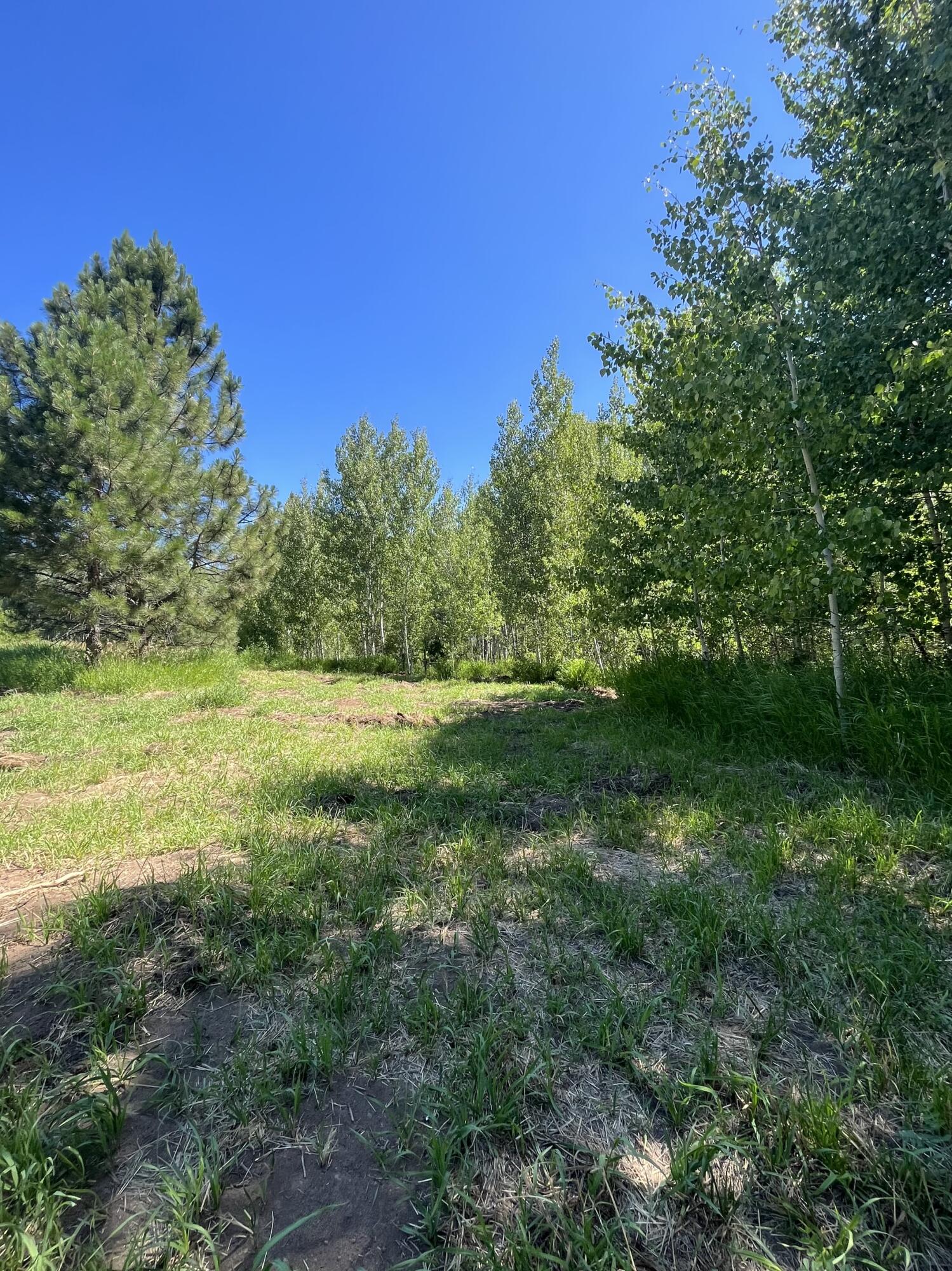 Evergreen Acres - Land