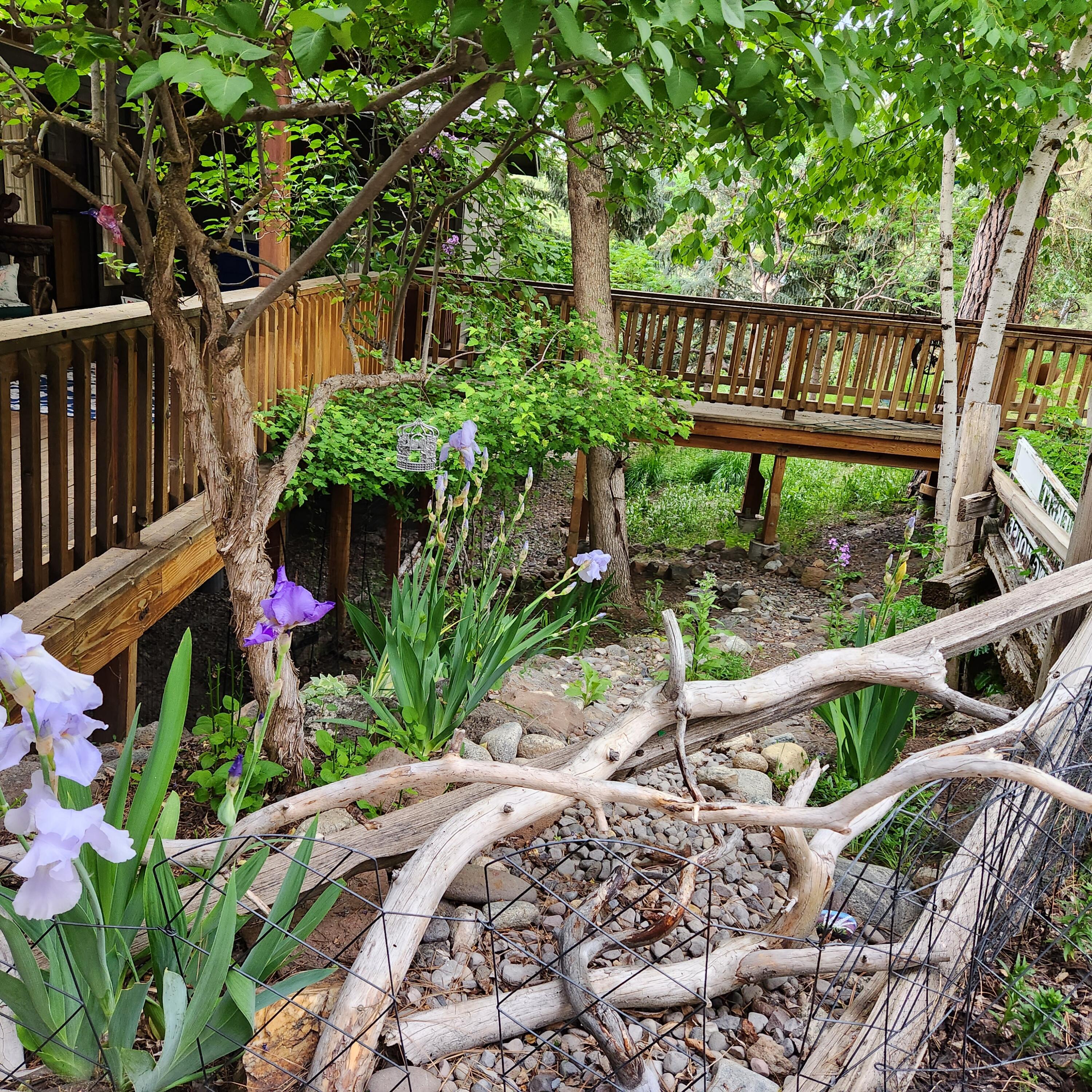 Lynnewood - Residential