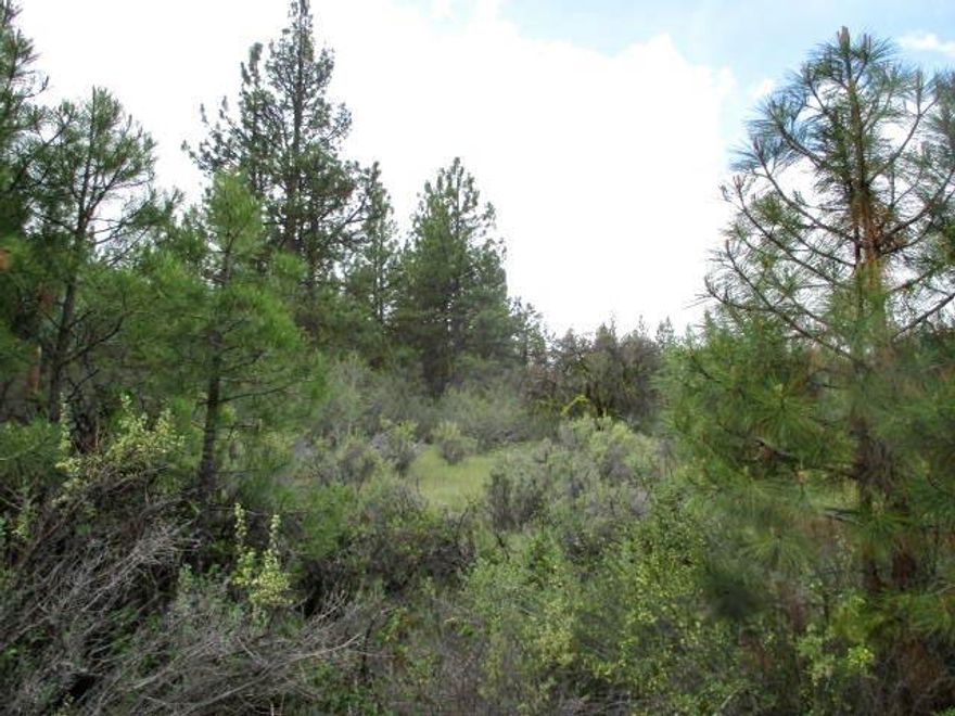Level 1.5 acres parcel with slight gradual slope to the south.  Very private lot with lots of natural vegetation and tall pines.  Perfect if you want to live off grid and enjoy mother nature.  Property being sold as is.