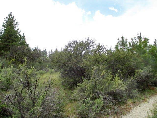 Ferguson Mountain Pines - Land