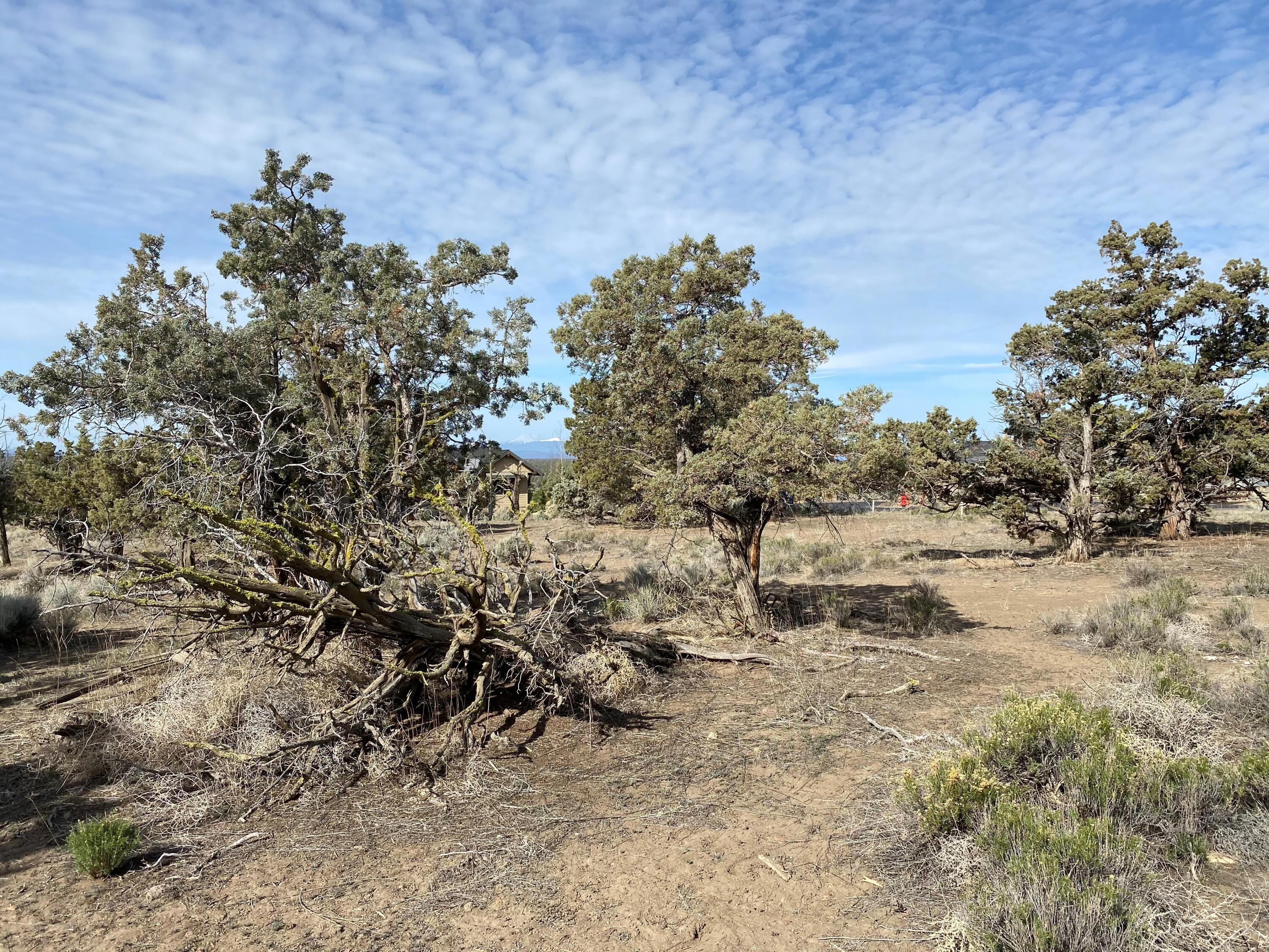 Brasada Ranch - Land