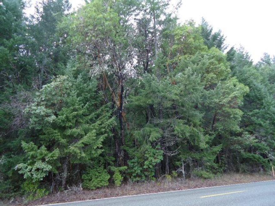 4.21 acres, level to gently rolling heavily wooded land. It's a beautiful parcel located a couple of miles from Lake Selmac near Selma, Oregon. Approved for a standard septic system and ready to develop.