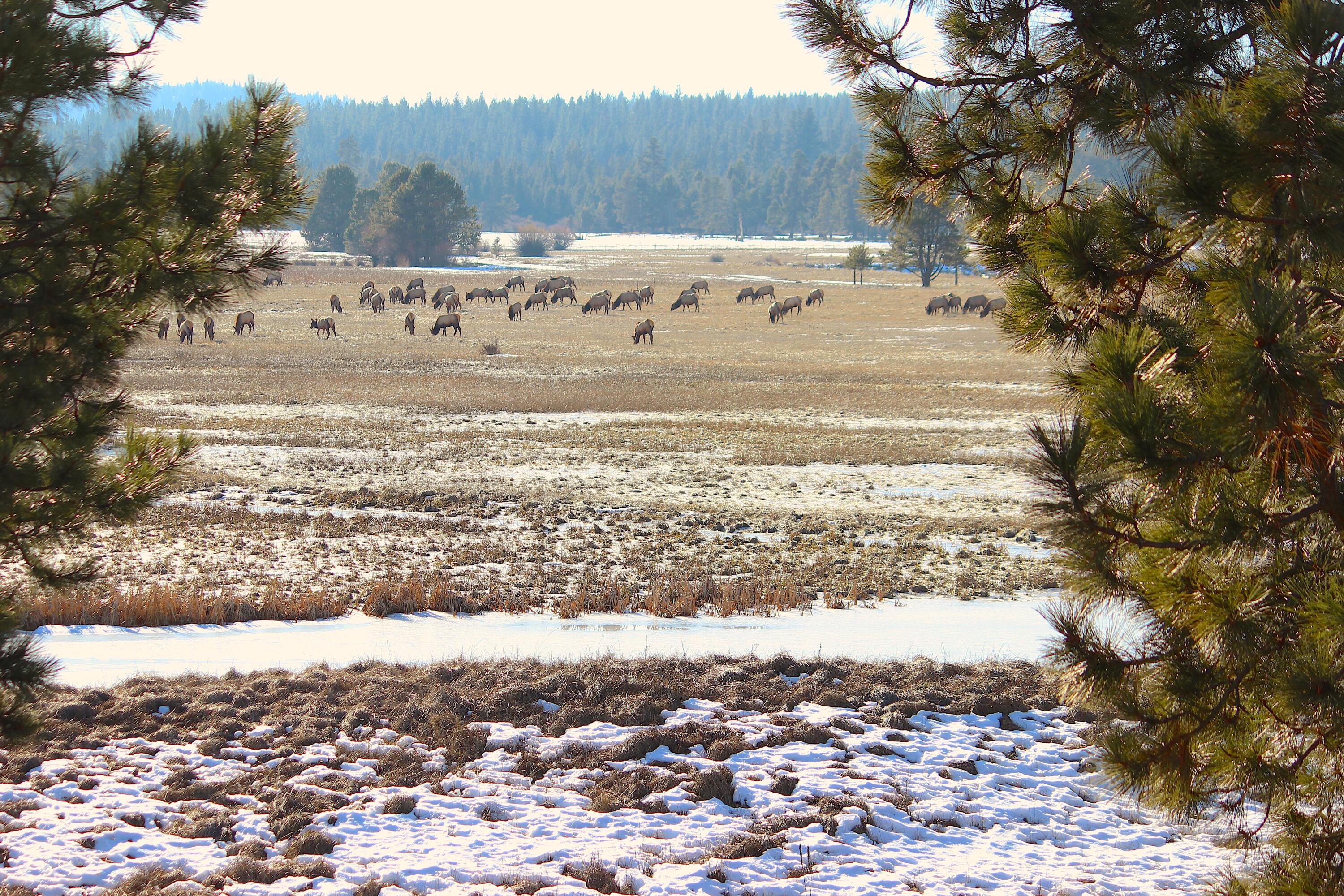 Mountain Village West - Residential