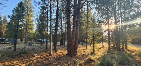 Featured picture for the property 220162018