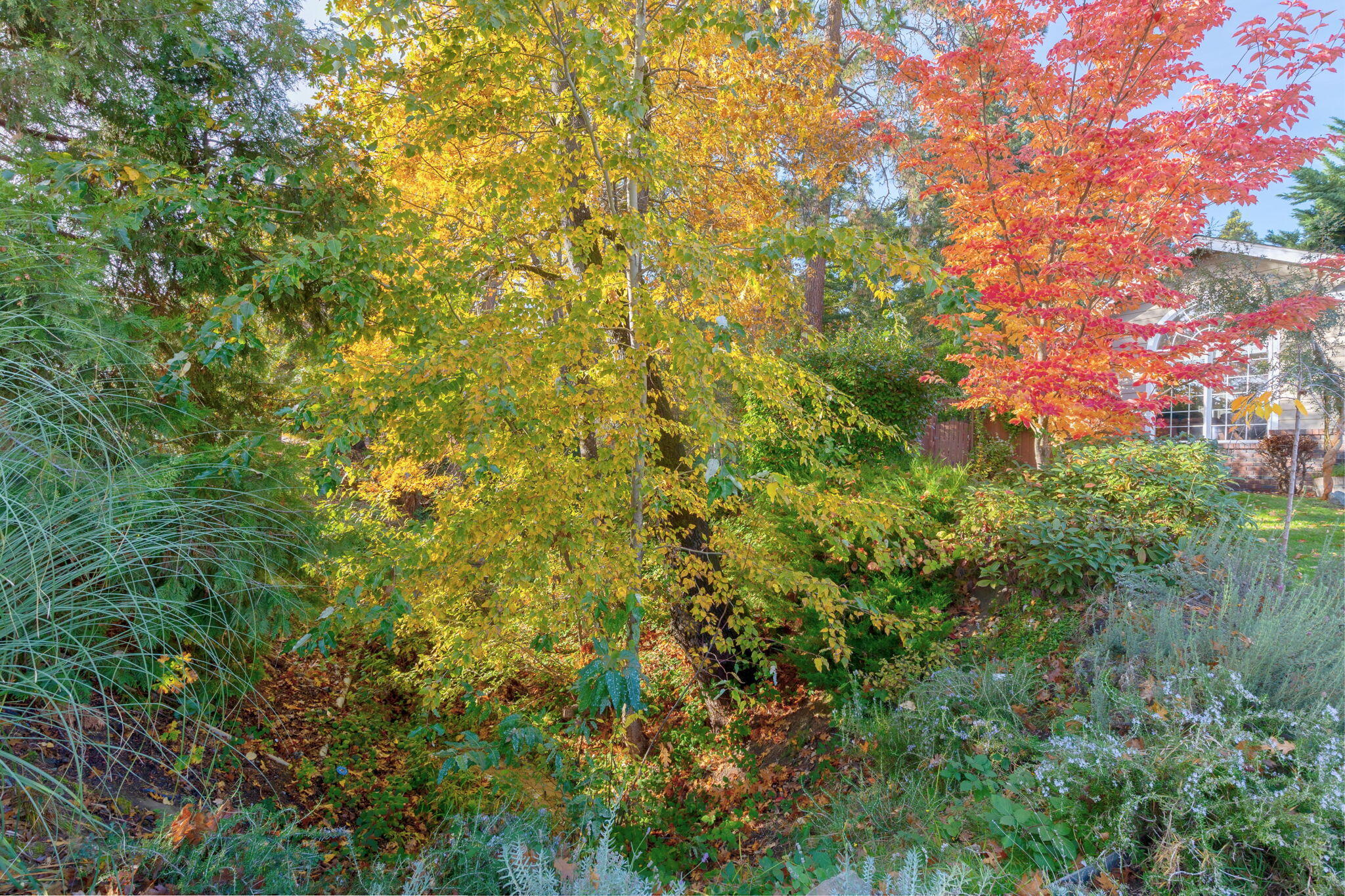 Cooke Estates Subdivision - Residential