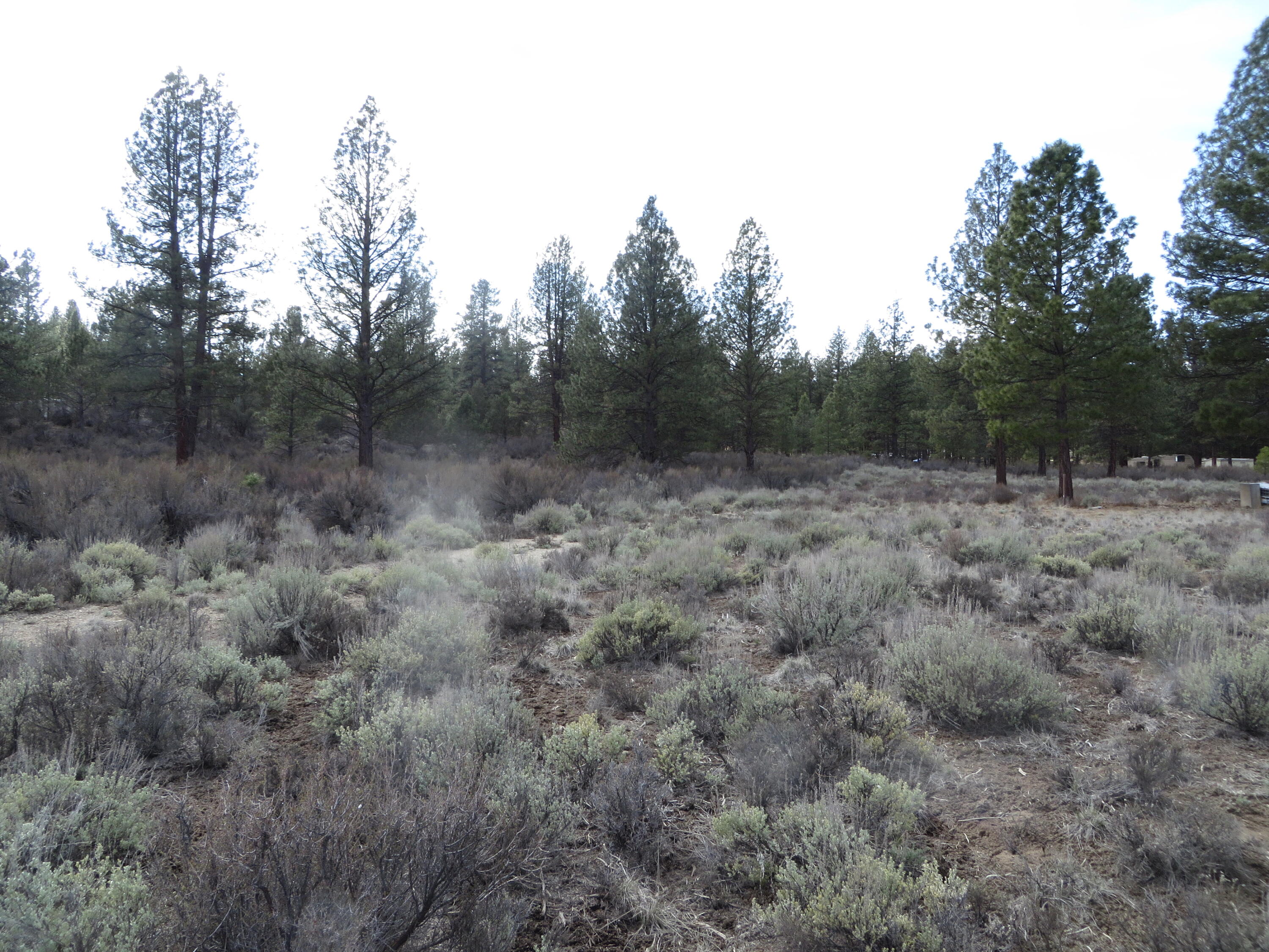 Klamath Country - Land