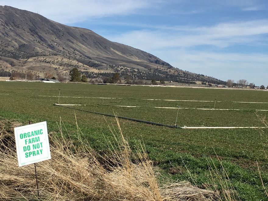 Farm ground is organic certified for potatoes and is suitable to grow most Klamath Basin crops. This property is located on the right (south side) of Dehlinger Lane approximately 12 miles from Klamath Falls. Irrigation for 53.94 acres from Class A KID water rights and 56.65 acres supplemental well water rights. The well is located off site and without a use agreement. Irrigation equipment at time of listing was: 75HP Motor/Panel/Meter Base; PVC 10 800', 8 1400'; 2- Wheelines - 1800' 65X5; 2 Filters/Manifold - Galvanized; 3X40' pipe for corners; 4- 4X3 Valves/ 10 end plugs. The irrigation pipeline from the point of diversion on Hwy. 39 to this property leaks. The cost to cure is unknown. The property is sold on an As Is, Where Is basis.