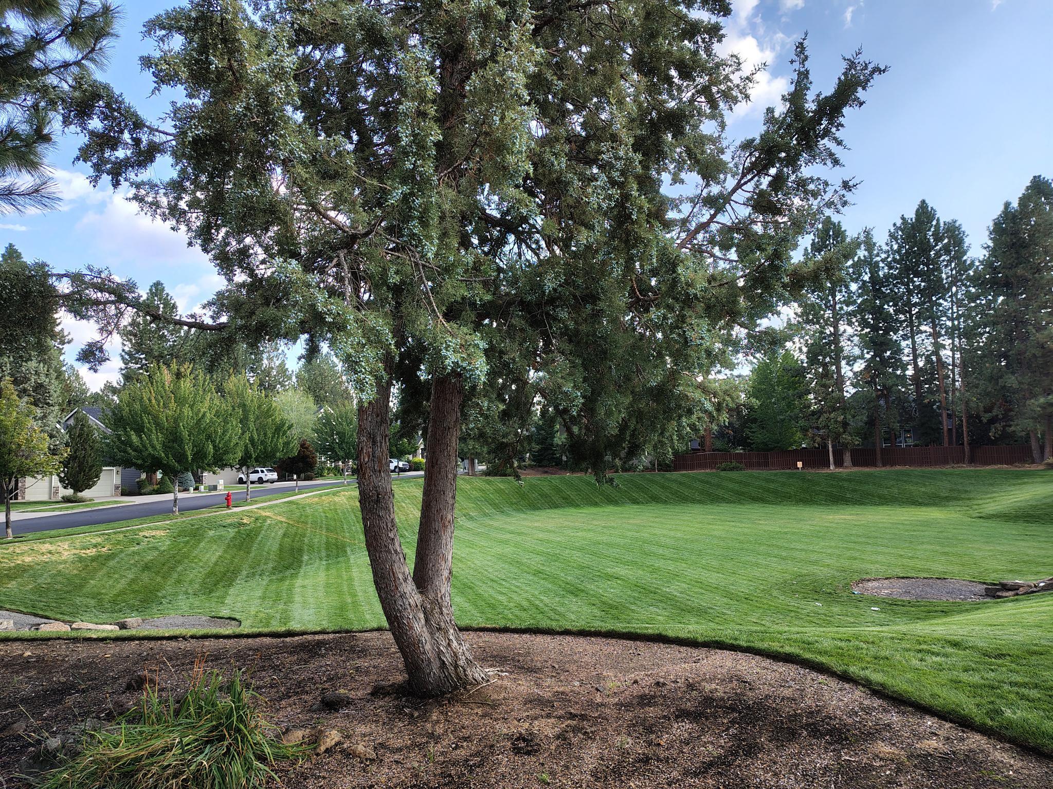 River Canyon Estates - Residential