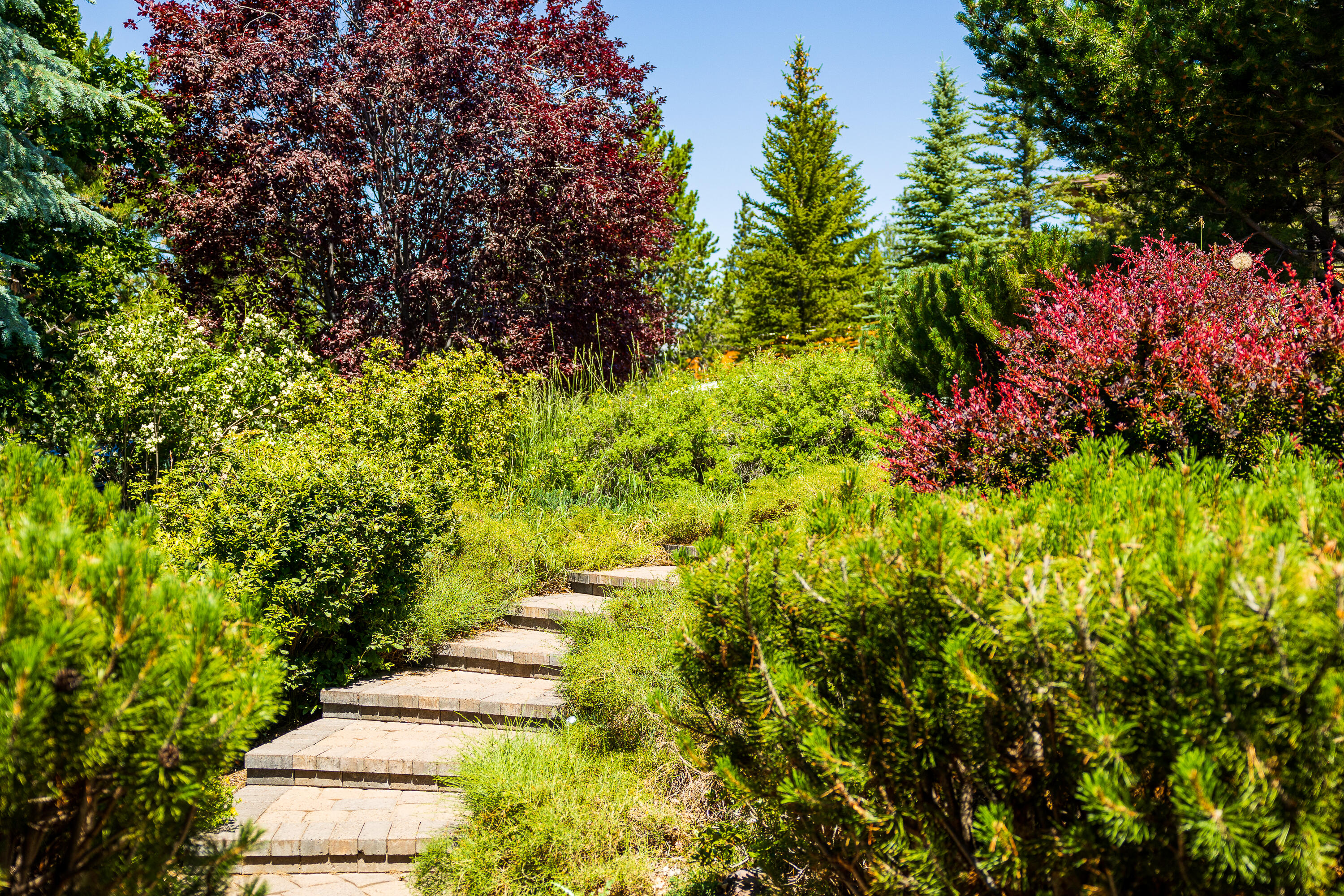Golden Butte - Residential