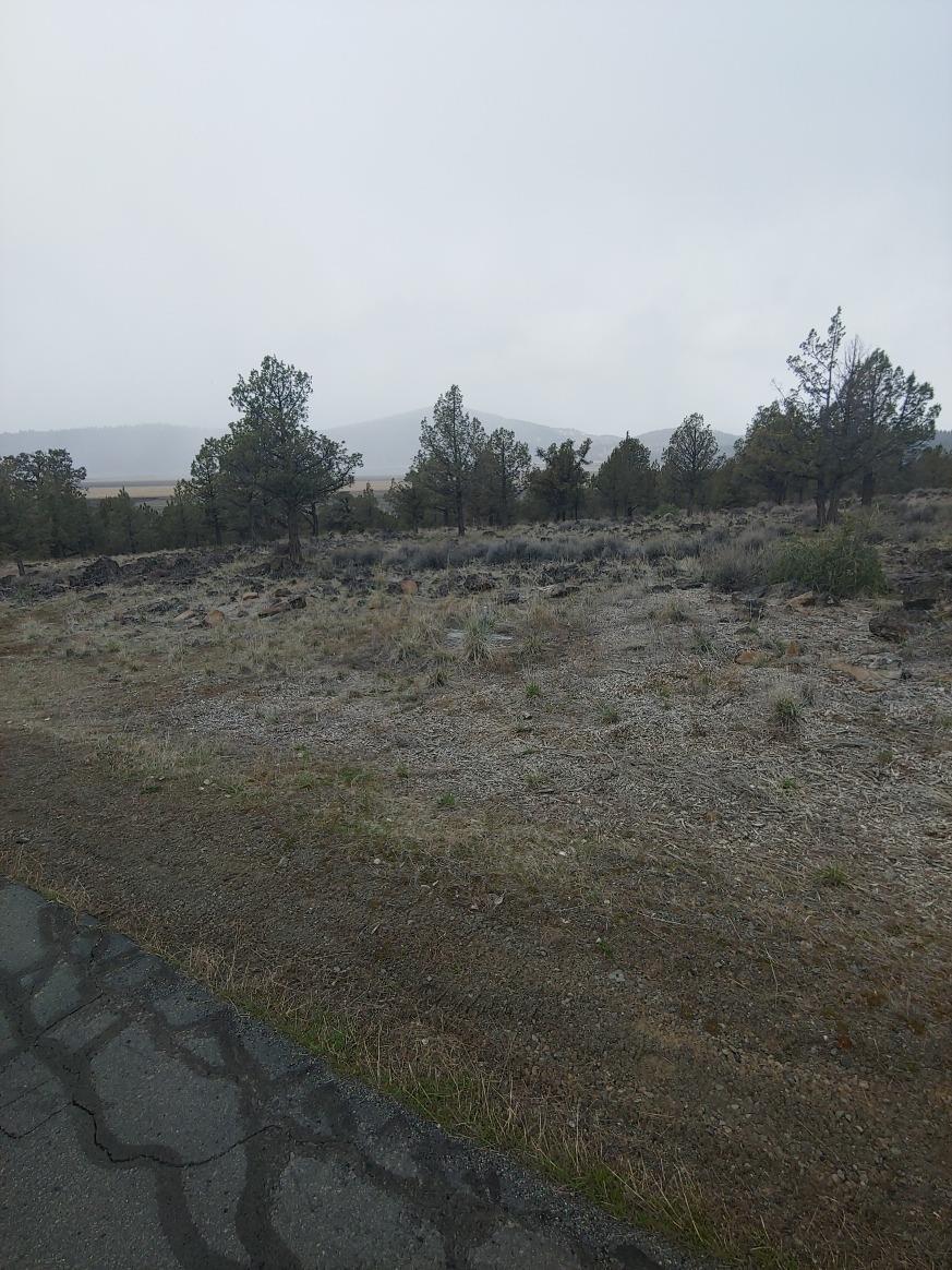 Running YResort - Land
