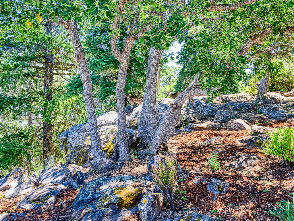 Running YResort - Residential