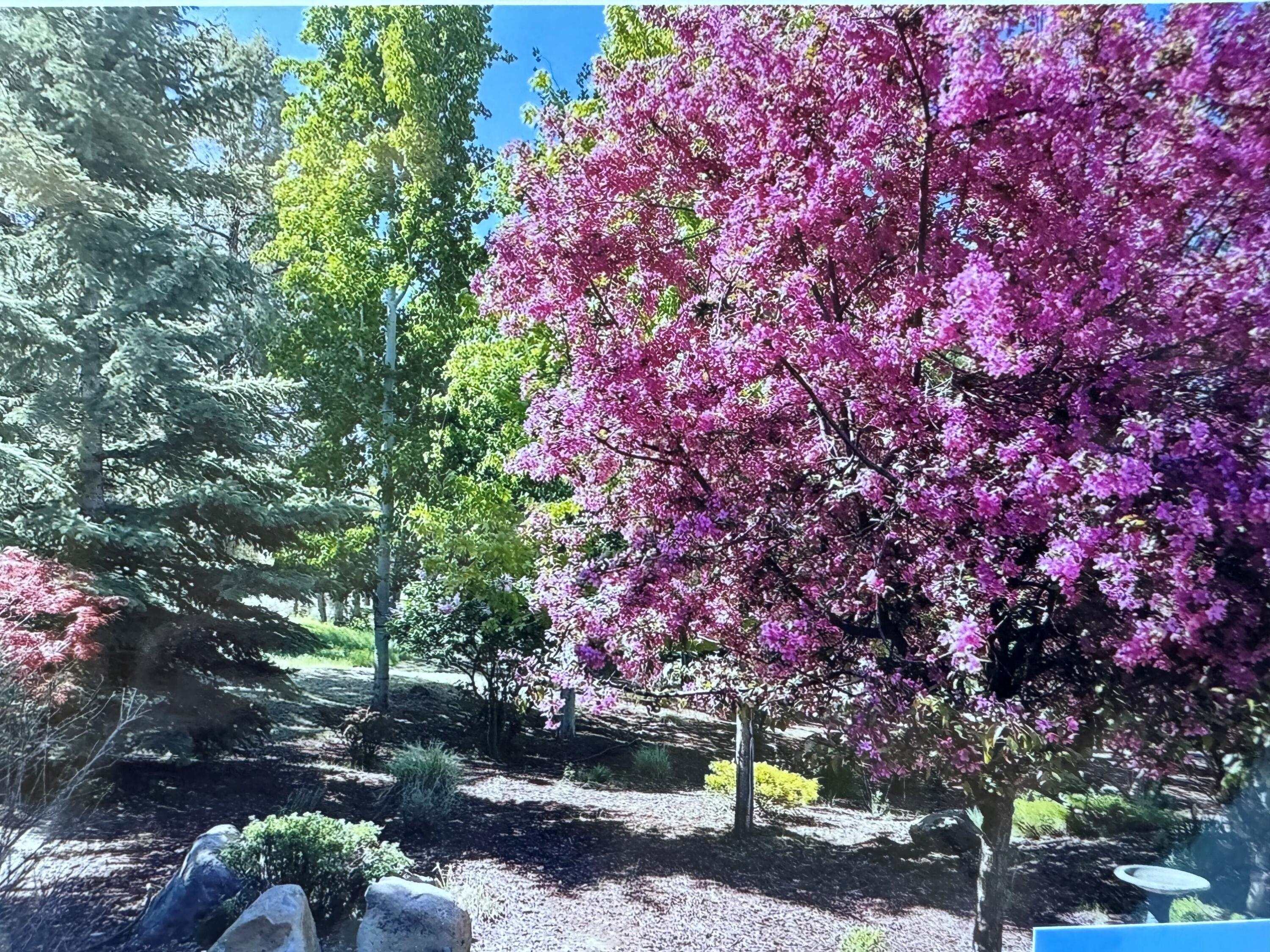 Running YResort - Residential