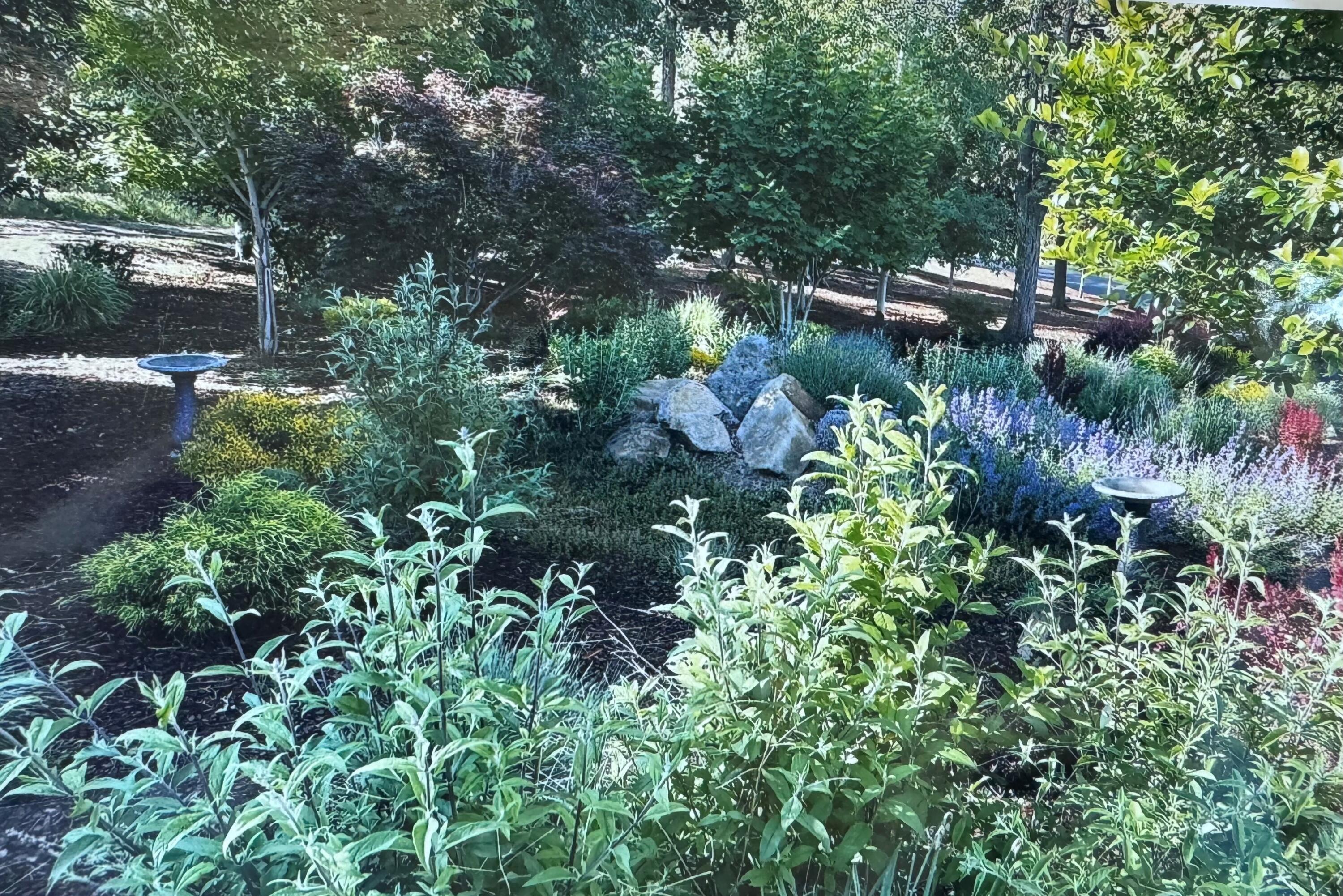 Running YResort - Residential