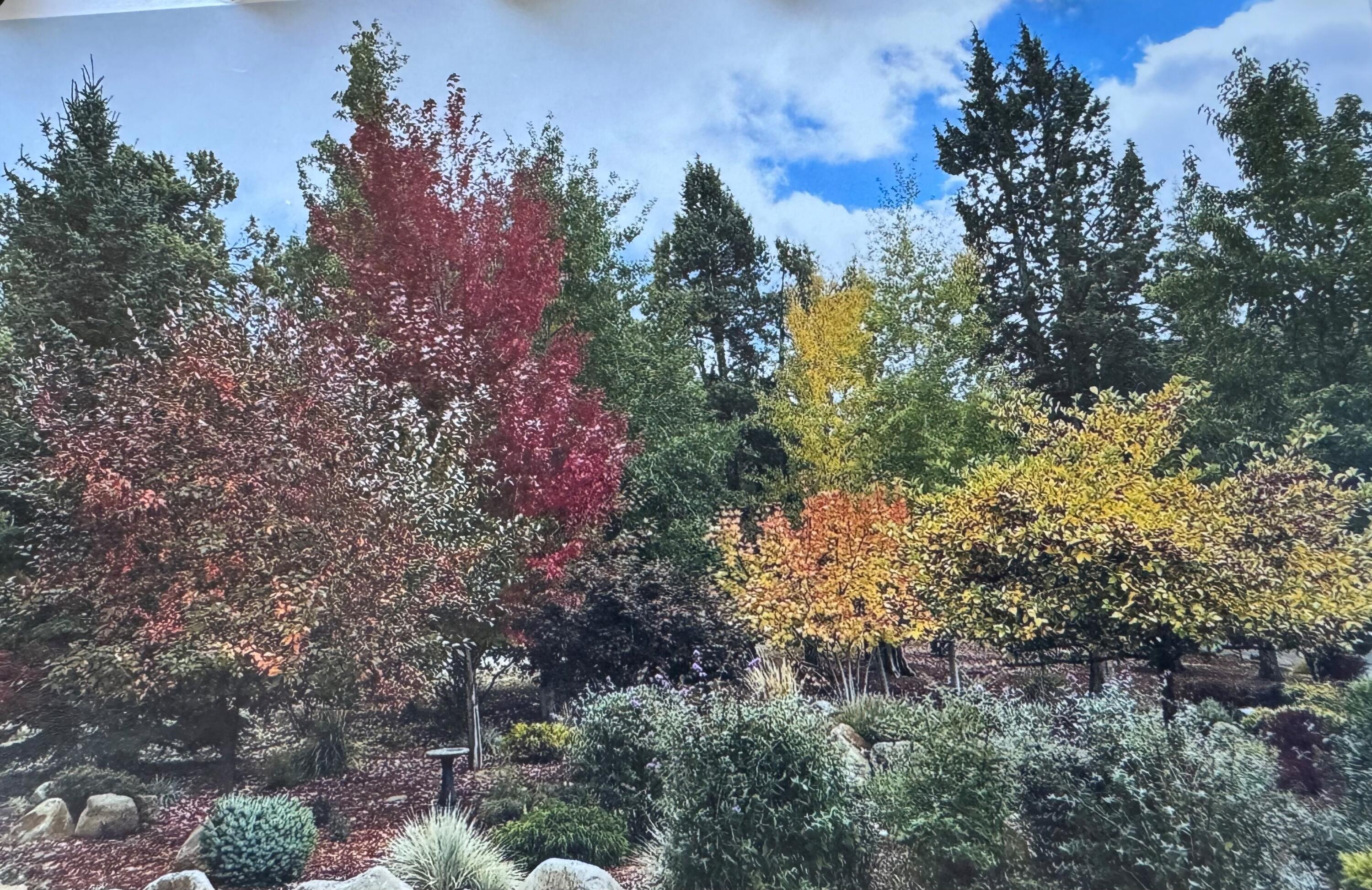 Running YResort - Residential