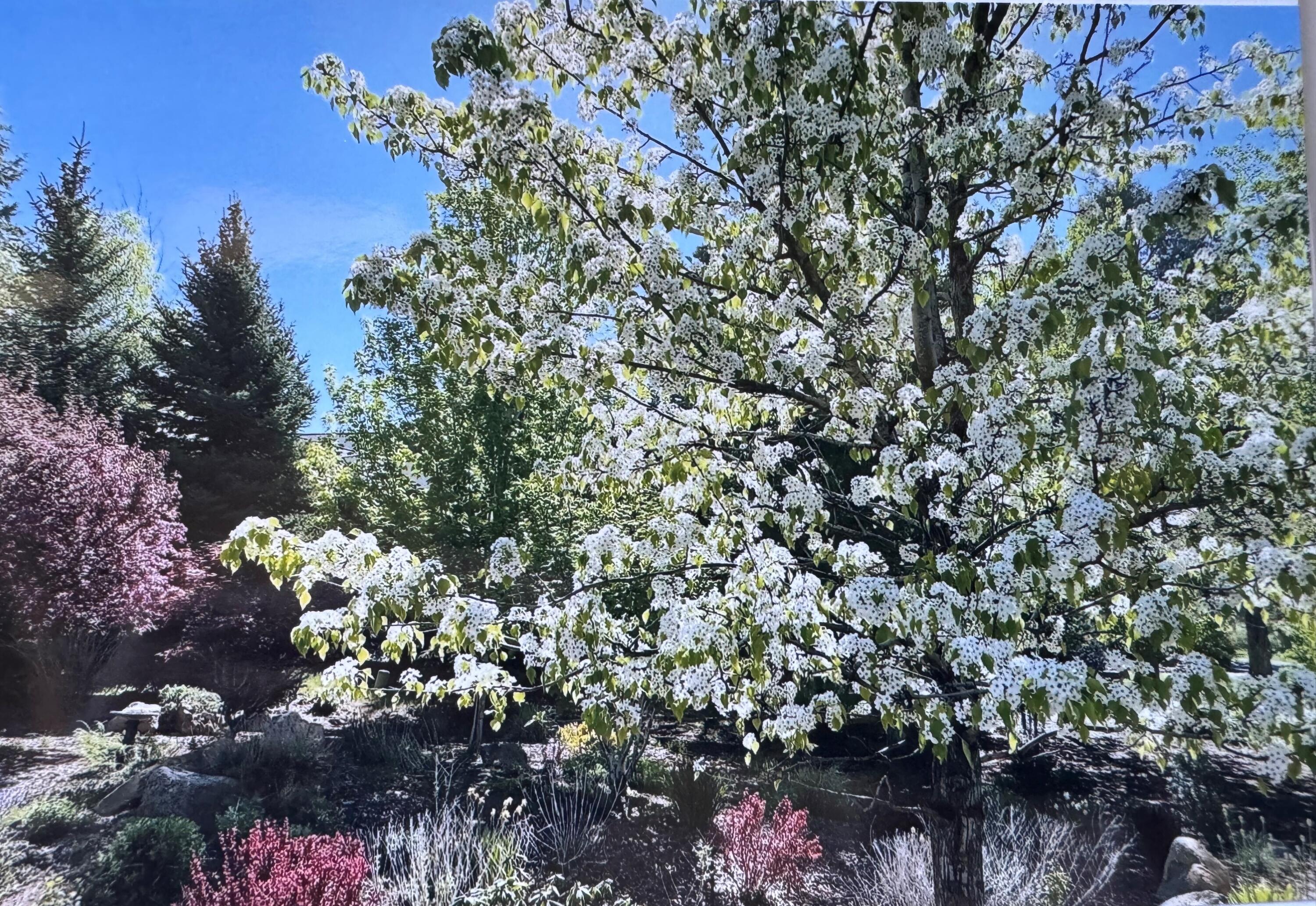 Running YResort - Residential