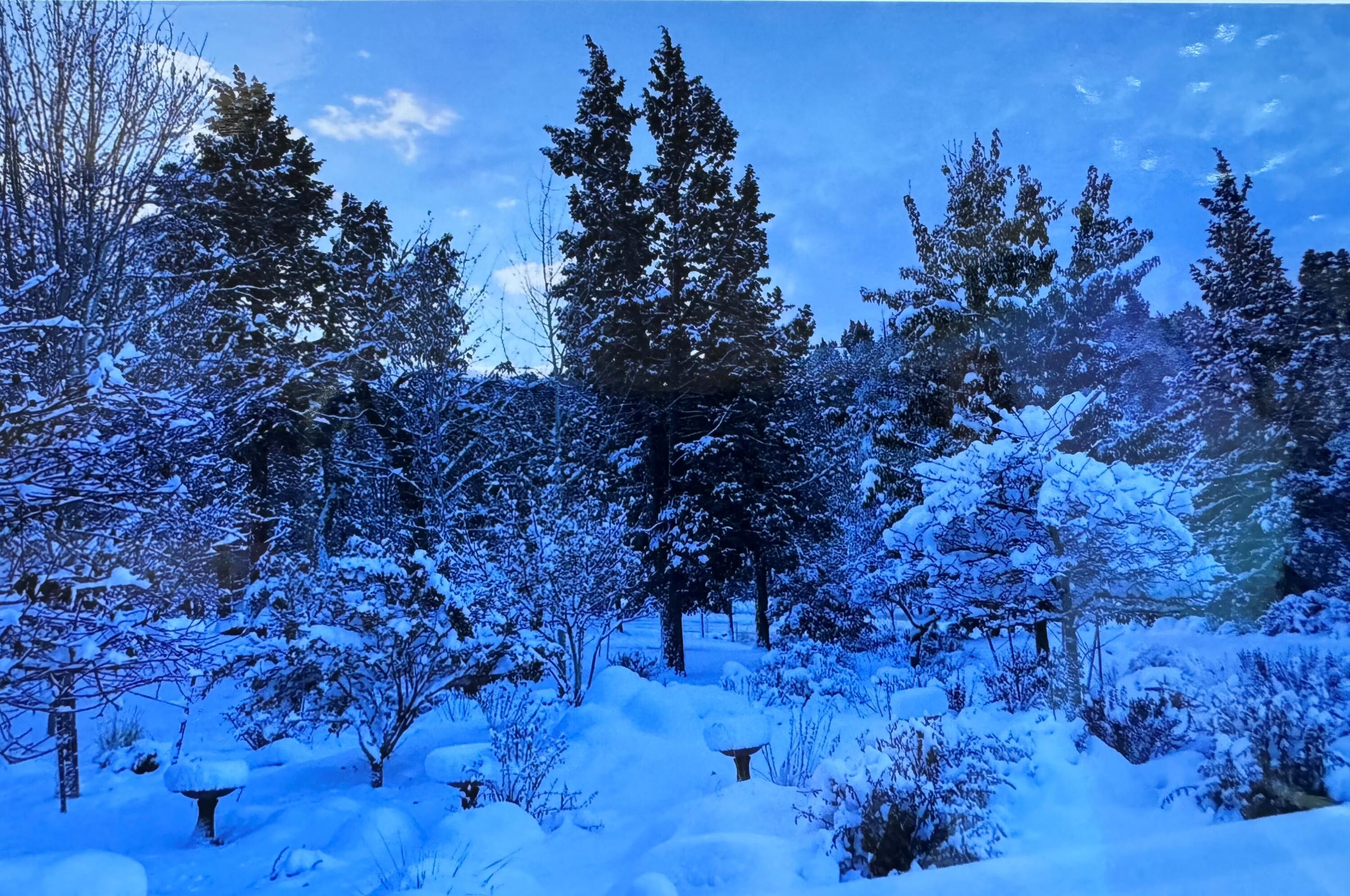 Running YResort - Residential