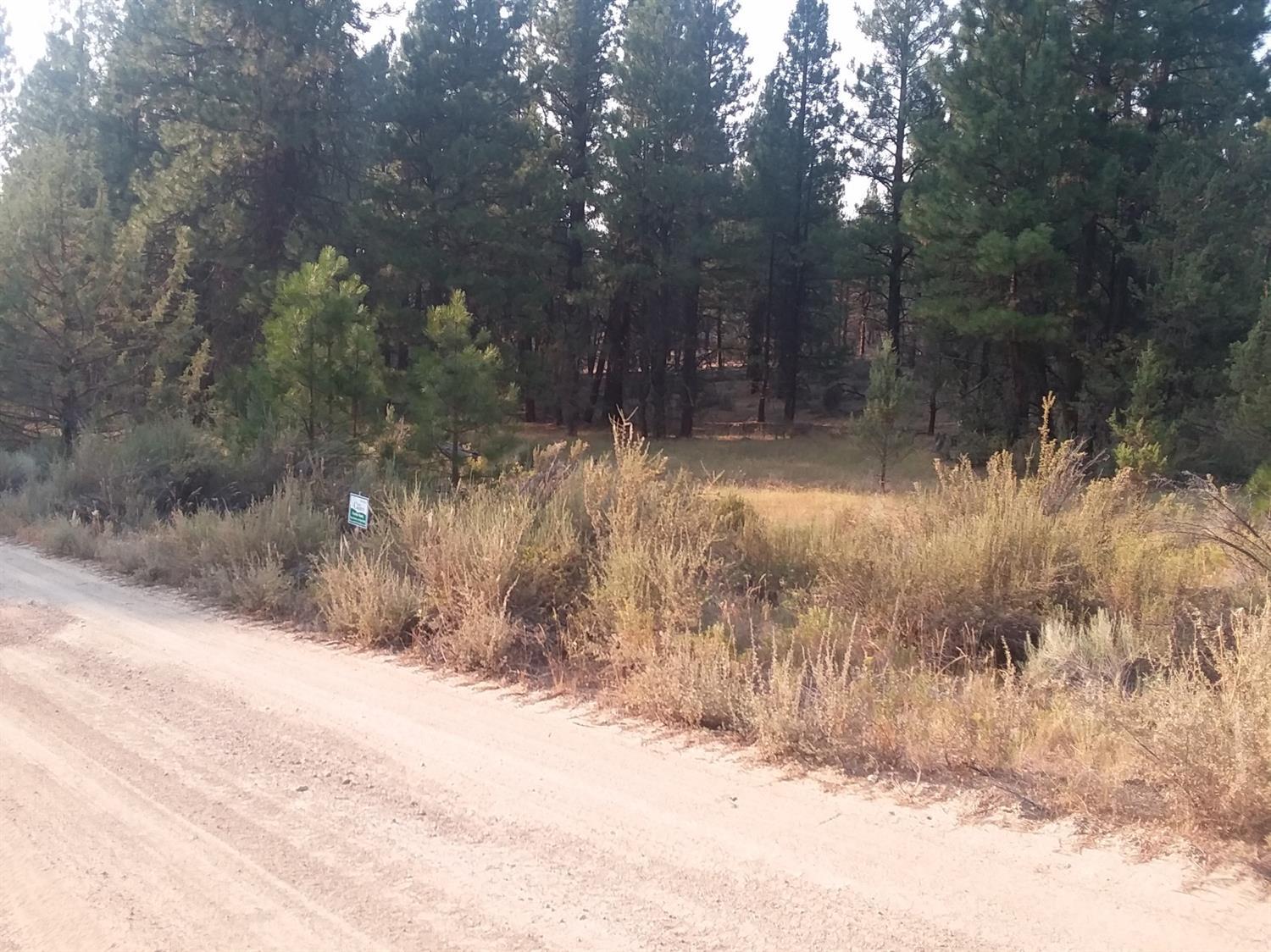 Ferguson Mountain Pines - Land