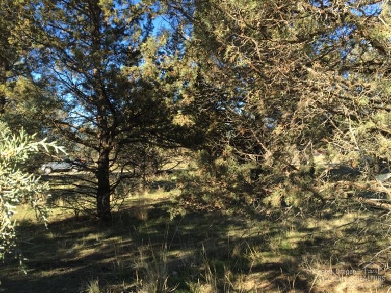 Golden Horseshoe - Land