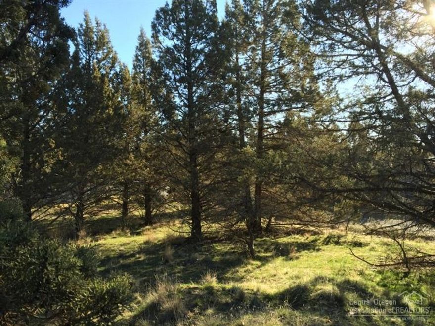 A nice corner lot in Ochoco West. Lot is well treed & all usable. Ochoco West boasts many amenities including a clubhouse, an outdoor swimming pool for hot summer days, stables for your horses (upon availability & for a fee) ATV trails, fishing pond plus acres & acres of community lands for you to enjoy.