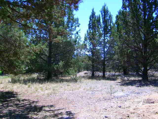 Golden Horseshoe - Land