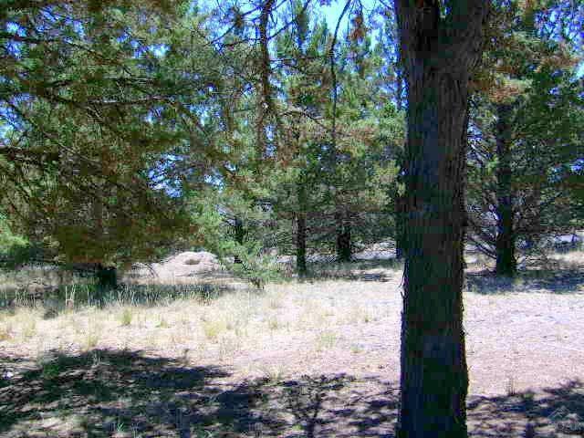 Golden Horseshoe - Land