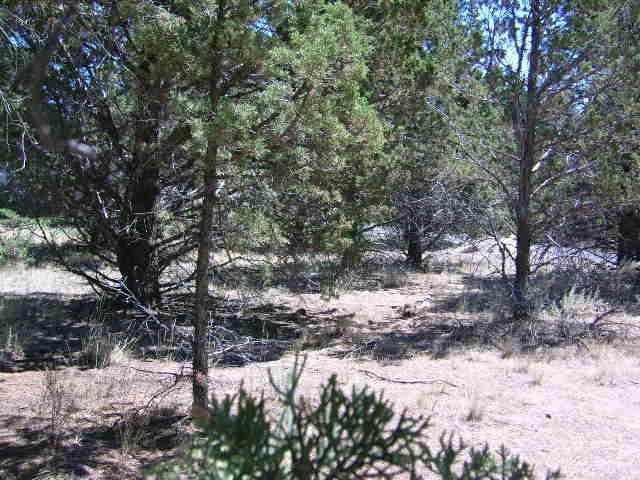 Golden Horseshoe - Land